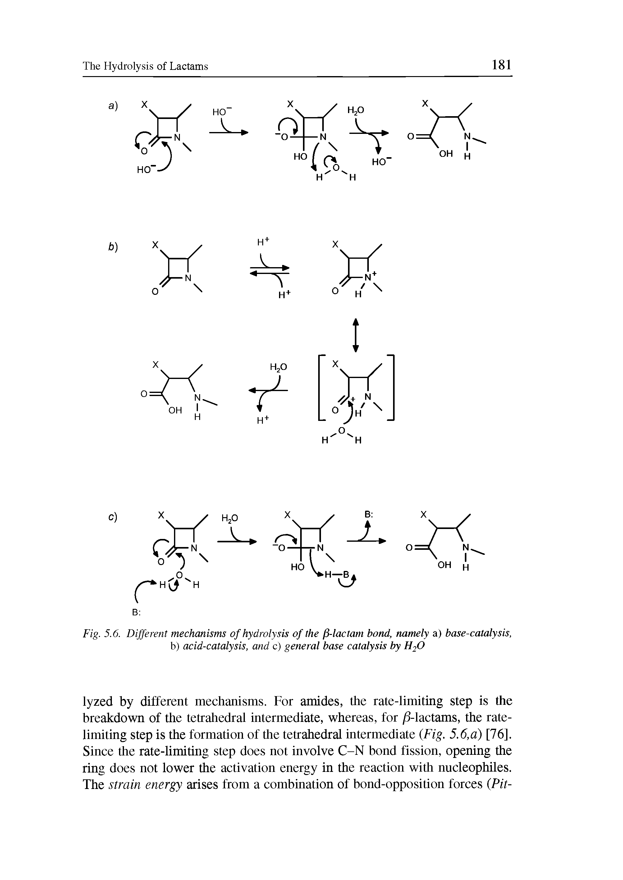 Fig. 5.6. Different mechanisms of hydrolysis of the (S-lactam bond, namely a) base-catalysis, b) acid-catalysis, and c) general base catalysis by H20...