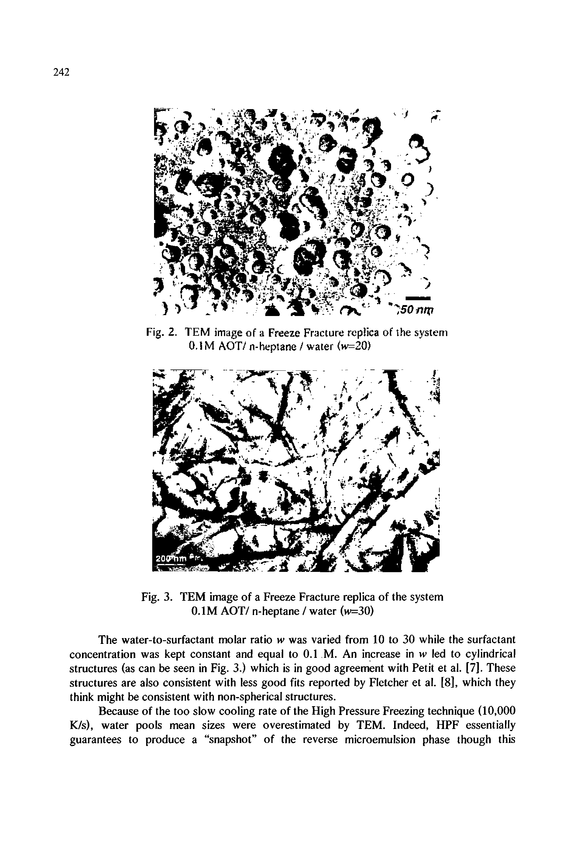 Fig. 2. TEM image of a Freeze Fracture replica of the system O.IM AOT/ n-heptane / water (w=20)...