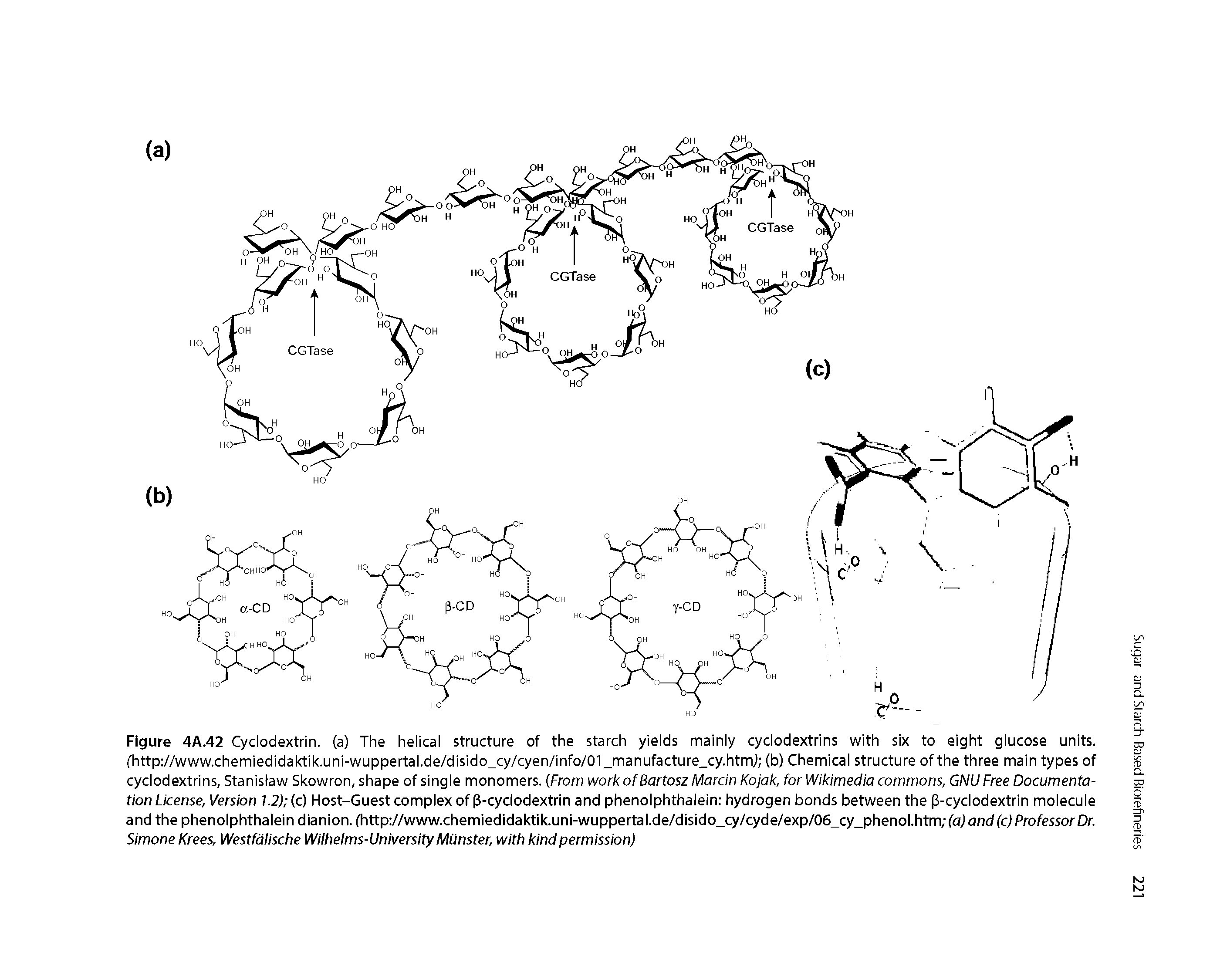 Figure 4A.42 Cyclodextrin, (a) The helical structure of the starch yields mainly cyclodextrins with six to eight glucose units. fhttp //www.chemiedidaktik.uni-wuppertal.de/disido cy/cyen/info/01 manufacture cy.htmj (b) Chemical structure of the three main types of cyclodextrins, Stanisfaw Skowron, shape of single monomers. From work of Bartosz Marcin Kojak, for Wikimedia commons, GNU Free Documentation License, Version 1.2) c) Host-Guest complex of 3-cyclodextrin and phenolphthalein hydrogen bonds between the p-cyclodextrin molecule and the phenolphthalein dianion. fhttp //www.chemiedidaktik.uni-wuppertal.de/disido cy/cyde/exp/06 cy phenol.htm (aj 7ndfc,)ProfessorDr. Simone Krees, Westfdlische Wiihelms-University Munster, with kind permission)...