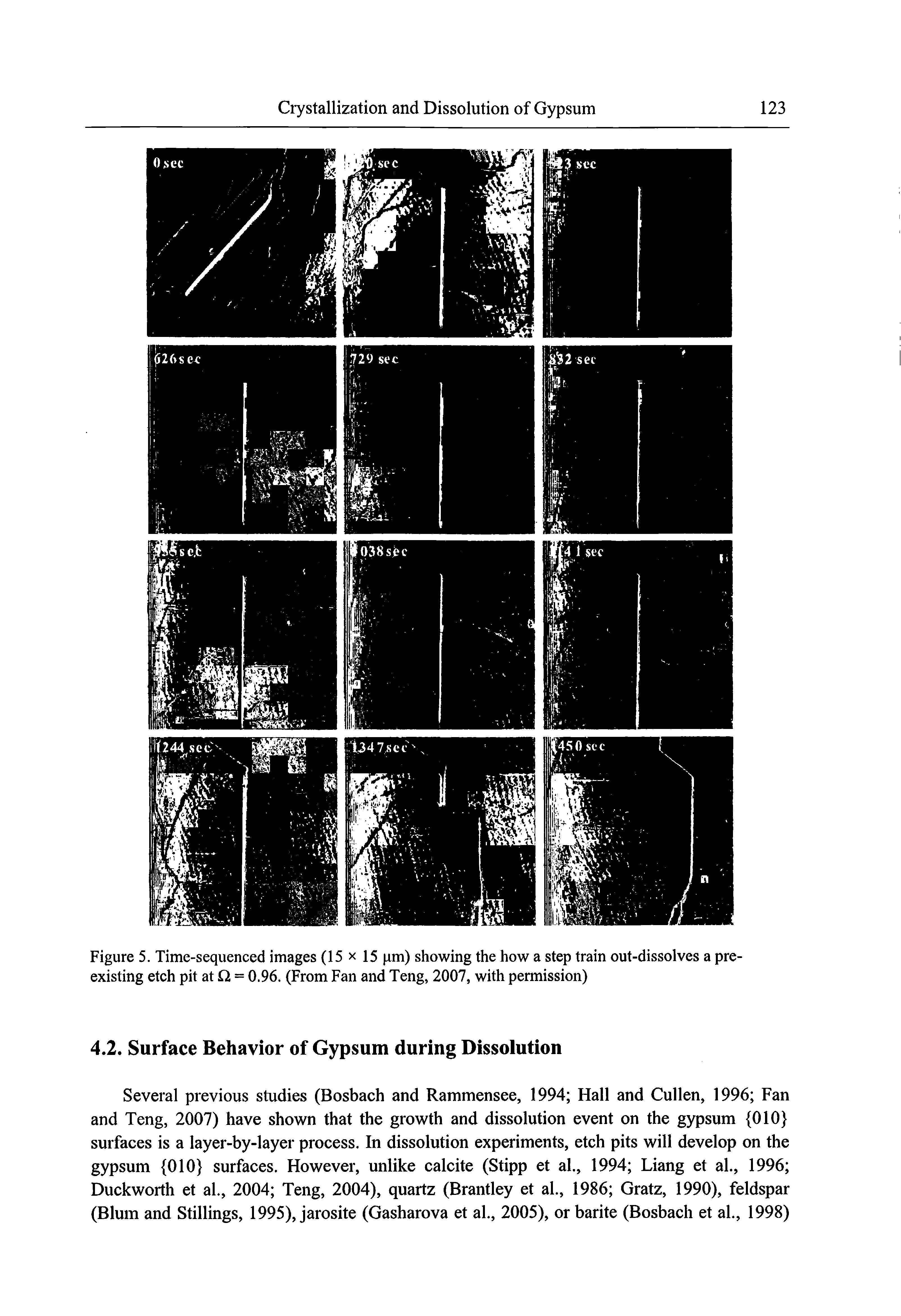 Figure 5. Time-sequenced images (15 x 15 pm) showing the how a step train out-dissolves a preexisting etch pit at Q = 0.96. (From Fan and Teng, 2007, with permission)...