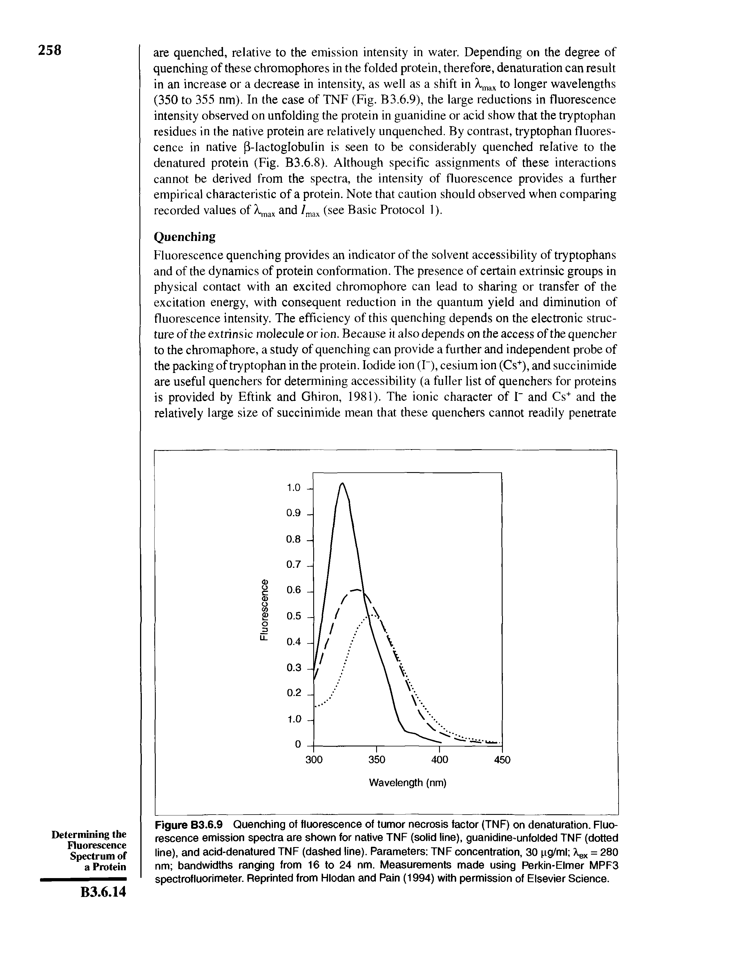 Figure B3.6.9 Quenching of fluorescence of tumor necrosis factor (TNF) on denaturation. Fluorescence emission spectra are shown for native TNF (solid line), guanidine-unfolded TNF (dotted line), and acid-denatured TNF (dashed line). Parameters TNF concentration, 30 pg/ml Xex = 280 nm bandwidths ranging from 16 to 24 nm. Measurements made using Perkin-Elmer MPF3 spectrofluorimeter. Reprinted from Hlodan and Pain (1994) with permission of Elsevier Science.