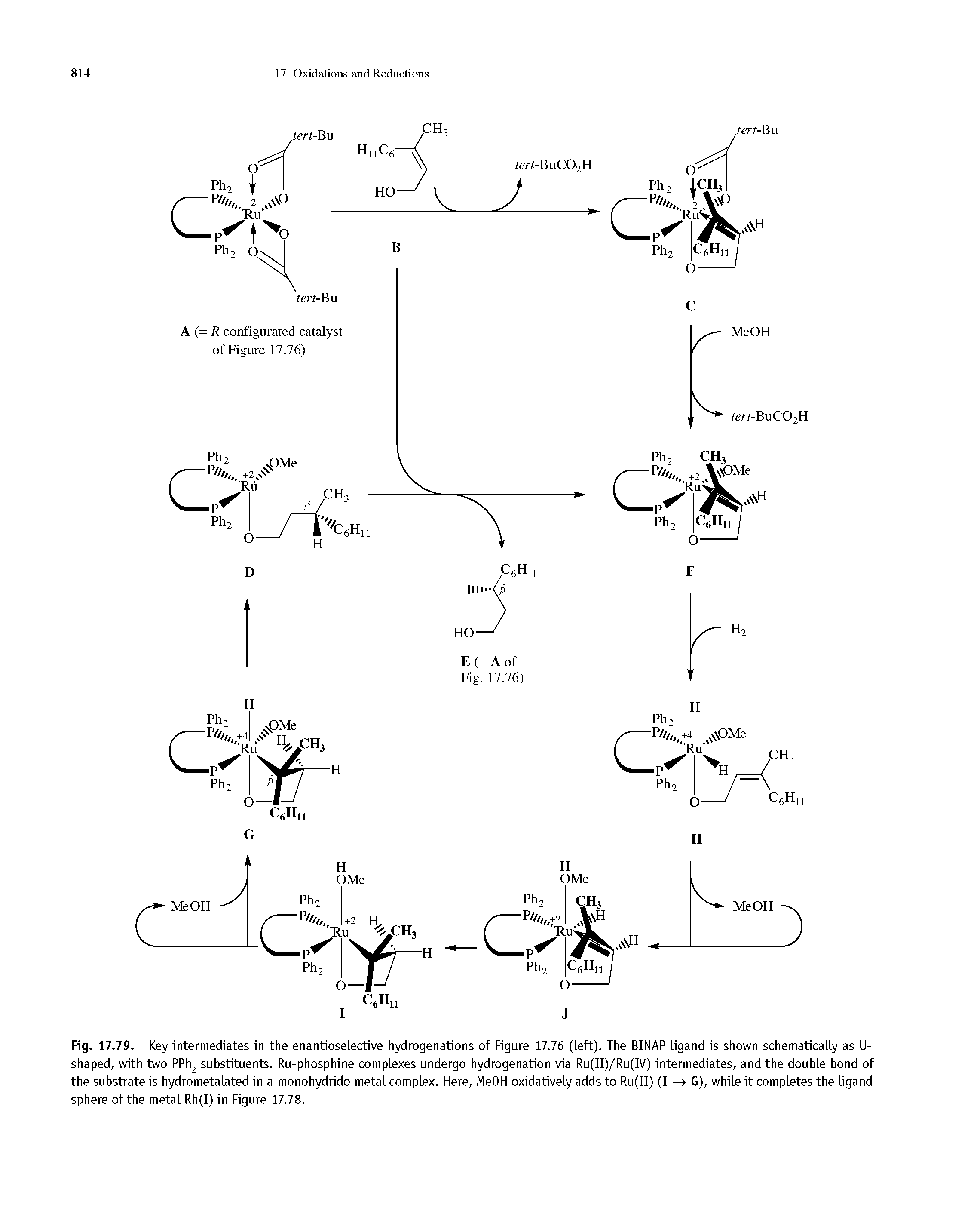 Fig. 17.79. Key intermediates in the enantioselective hydrogenations of Figure 17.76 (left). The BINAP ligand is shown schematically as U-shaped, with two PPh2 substituents. Ru-phosphine complexes undergo hydrogenation via Ru(II)/Ru(IV) intermediates, and the double bond of the substrate is hydrometatated in a monohydrido metal complex. Here, HeOH oxidatively adds to Ru(II) (I —> G), white it completes the ligand sphere of the metal Rh(I) in Figure 17.78.