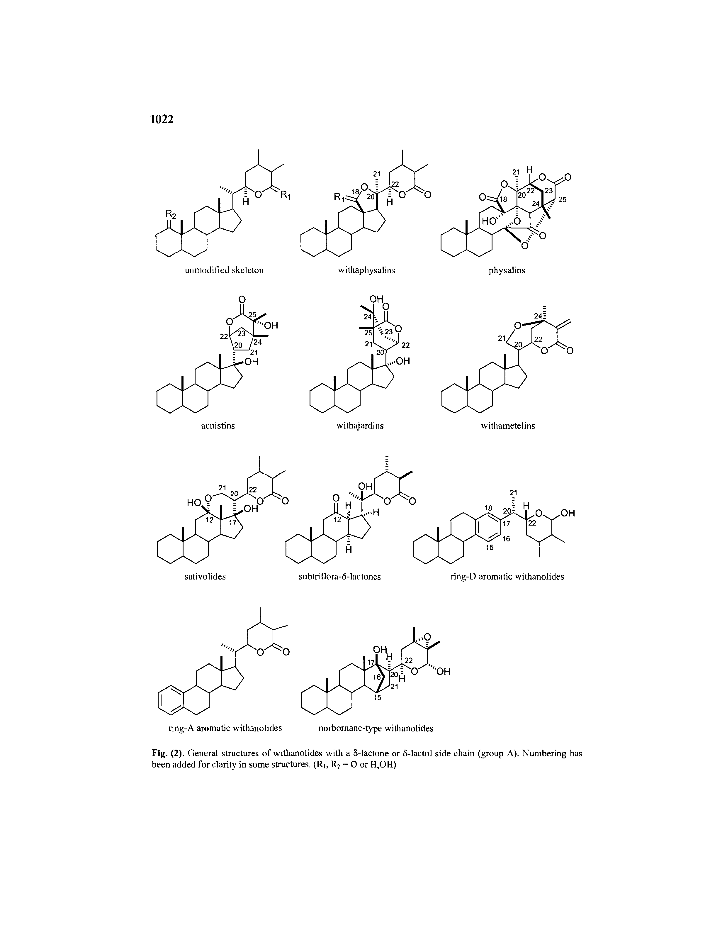 Fig. (2). General structures of withanolides with a 8-lactone or 8-lactol side chain (group A). Numbering has been added for clarity in some structures. (R, R2 = O or H,OH)...