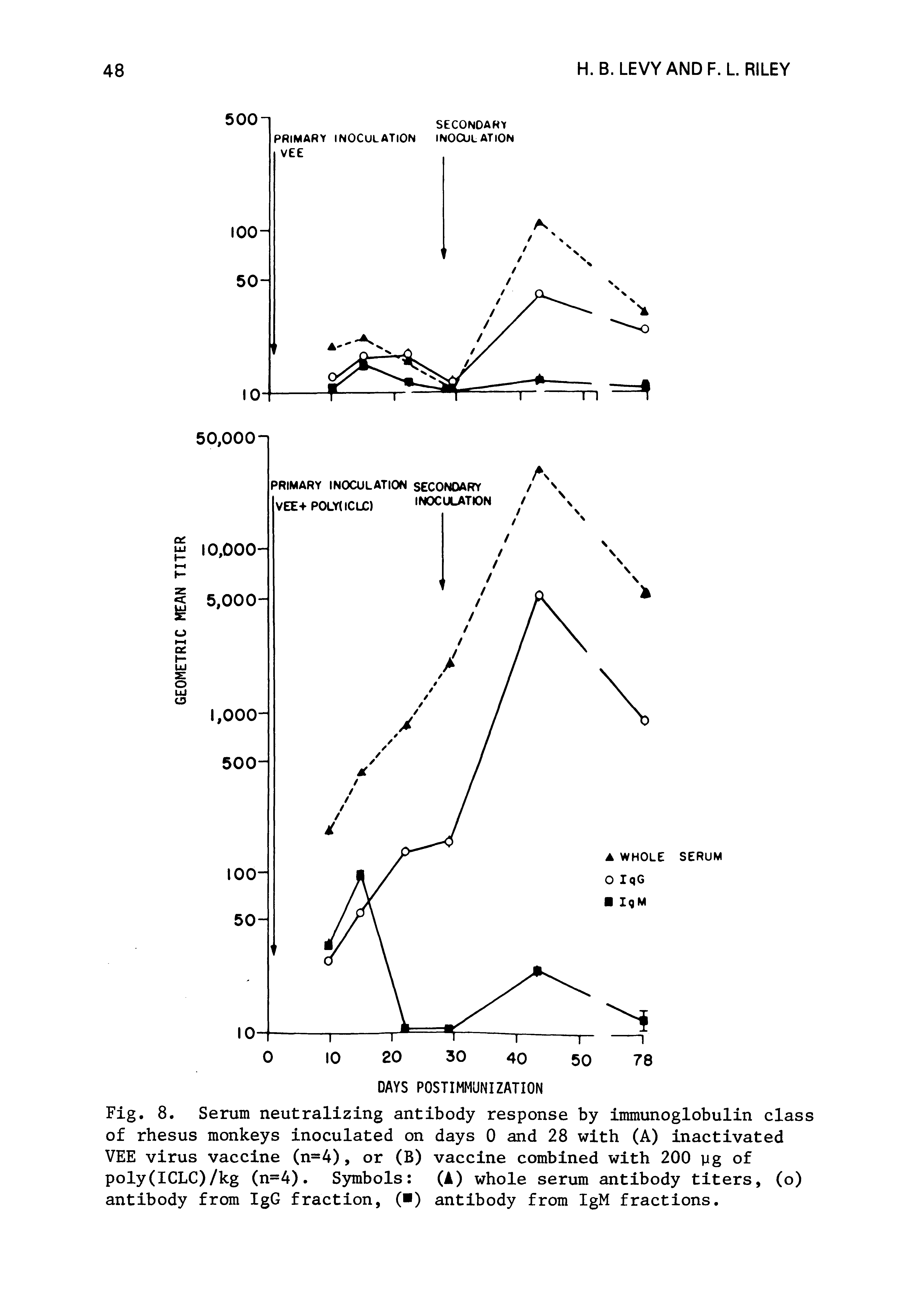 Fig. 8. Serum neutralizing antibody response by immunoglobulin class of rhesus monkeys inoculated on days 0 and 28 with (A) inactivated VEE virus vaccine (n=4), or (B) vaccine combined with 200 yg of poly(ICLC)/kg (n=4). Symbols (A) whole serum antibody titers, (o) antibody from IgG fraction, ( ) antibody from IgM fractions.