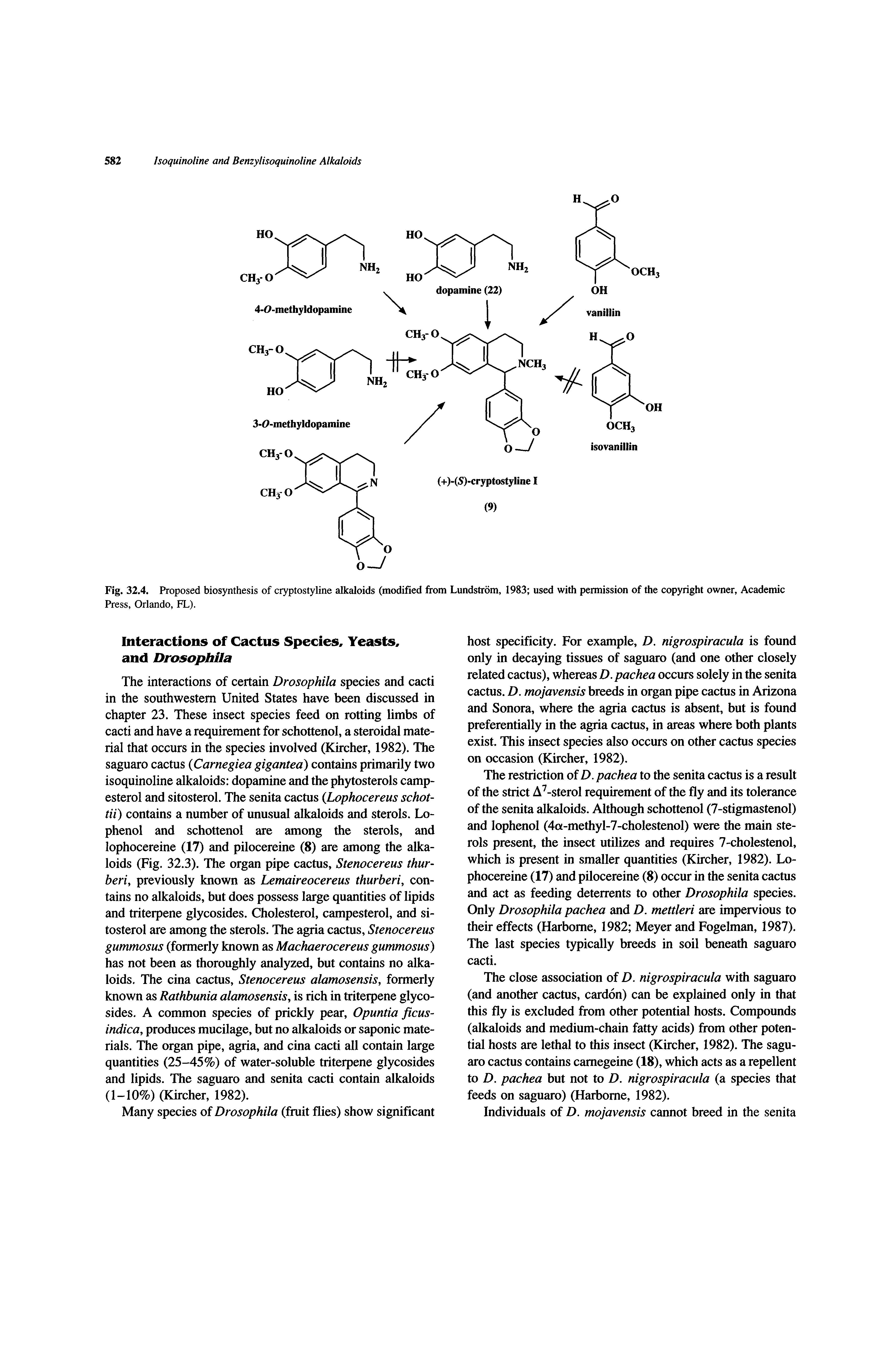 Fig. 32.4. Proposed biosynthesis of cryptostyline alkaloids (modified from Lundstrom, 1983 used with permission of the copyright owner. Academic...