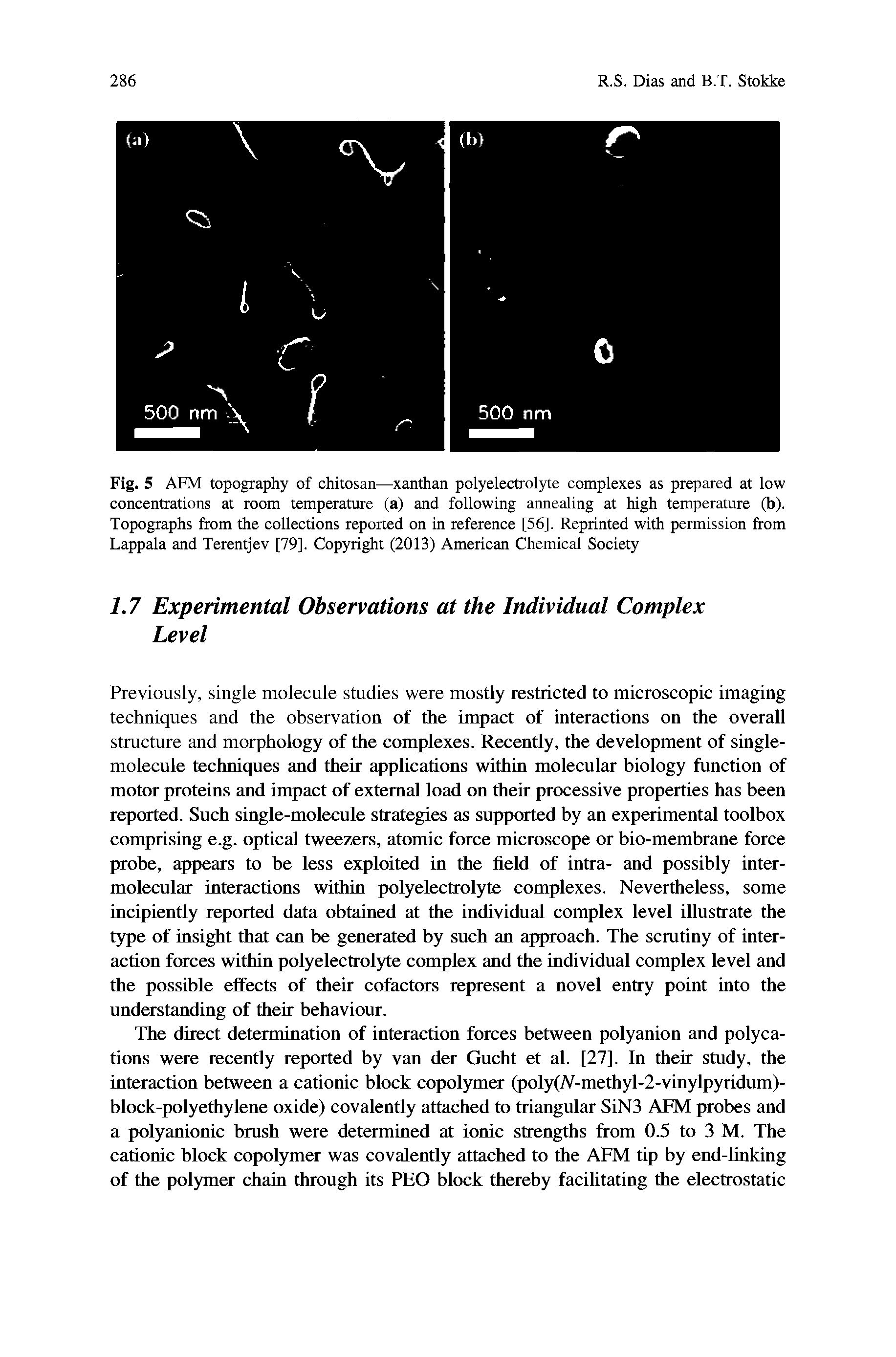 Fig. 5 AFM topography of chitosan—xanthan polyelectrolyte complexes as prepared at low concentrations at room temperature (a) and following annealing at high temperature (b). Topographs from the collections reported on in reference [56]. Reprinted with permission from Lappala and Terentjev [79]. Copyright (2013) American Chemical Society...