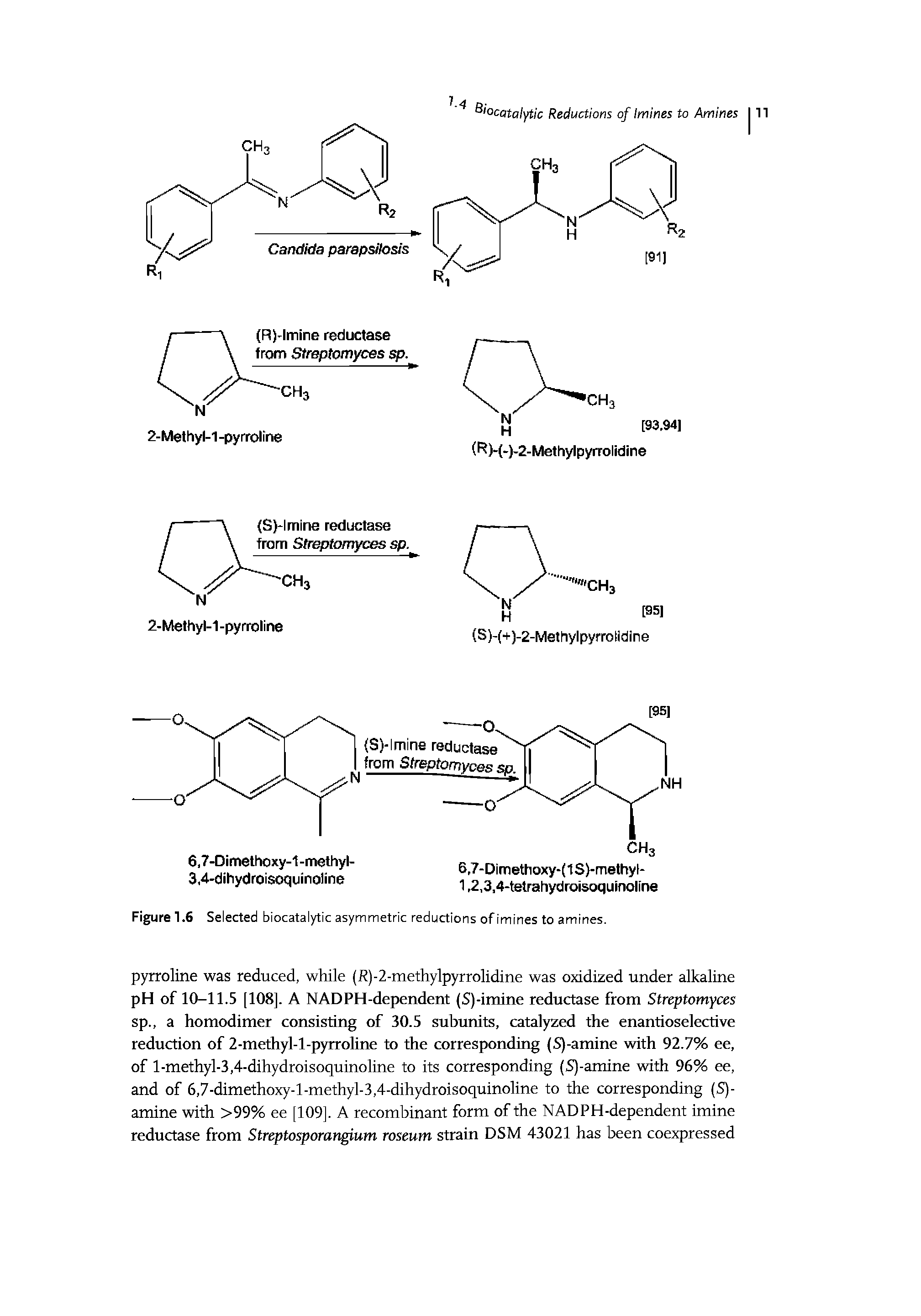 Figure 1.6 Selected biocatalytic asymmetric reductions of imines to amines.