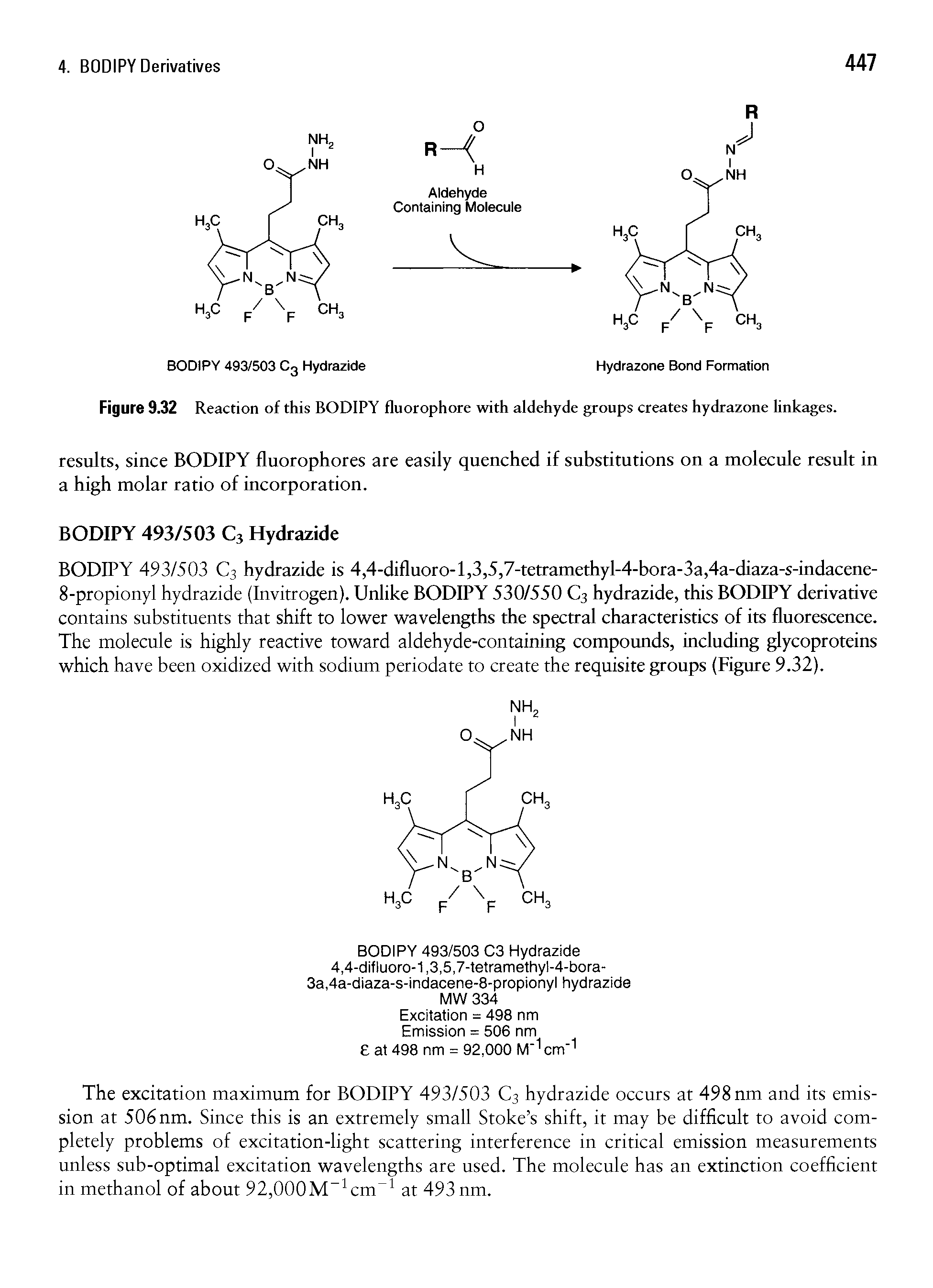 Figure 9.32 Reaction of this BODIPY fluorophore with aldehyde groups creates hydrazone linkages.