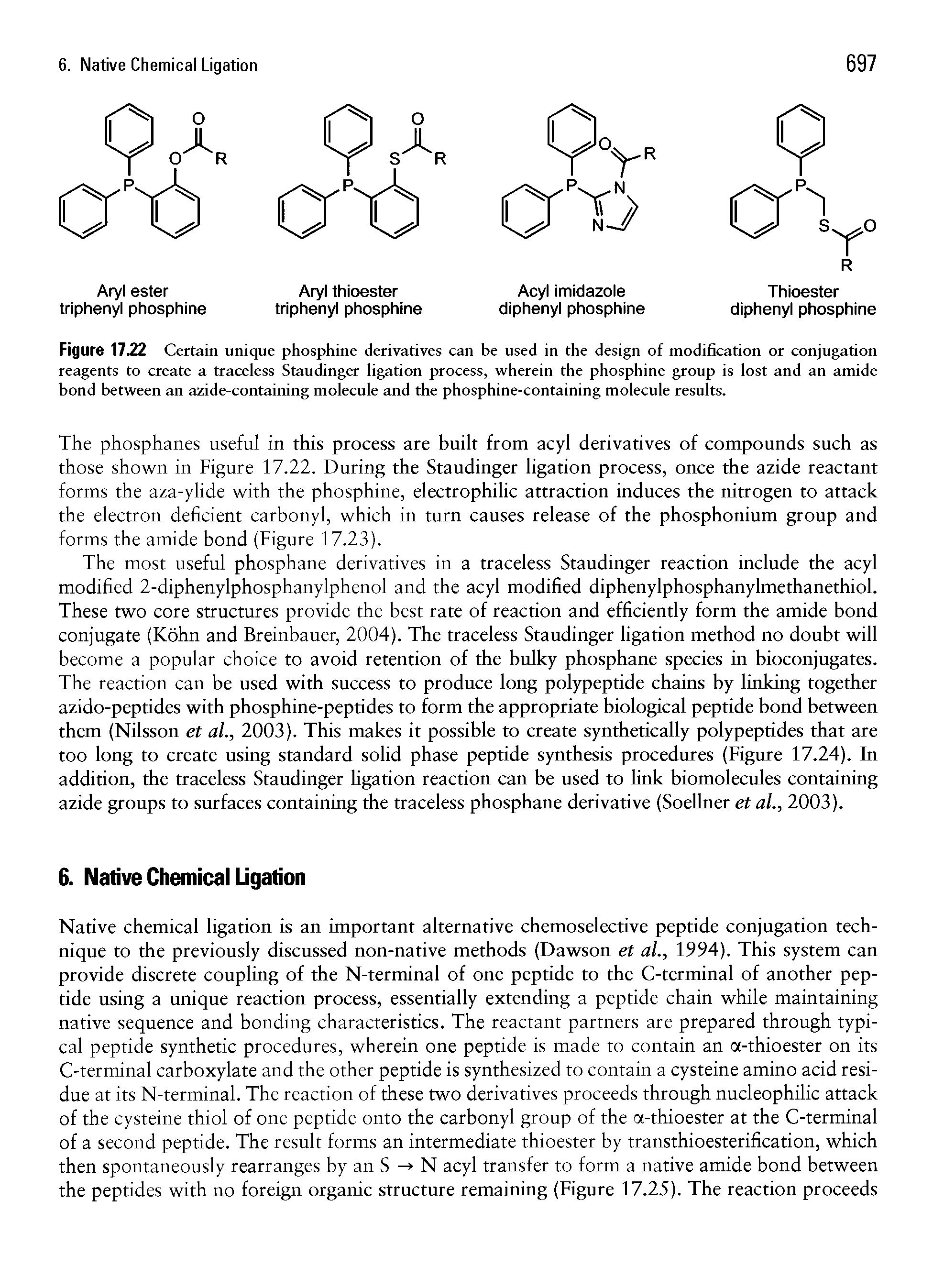 Figure 17.22 Certain unique phosphine derivatives can be used in the design of modification or conjugation reagents to create a traceless Staudinger ligation process, wherein the phosphine group is lost and an amide bond between an azide-containing molecule and the phosphine-containing molecule results.