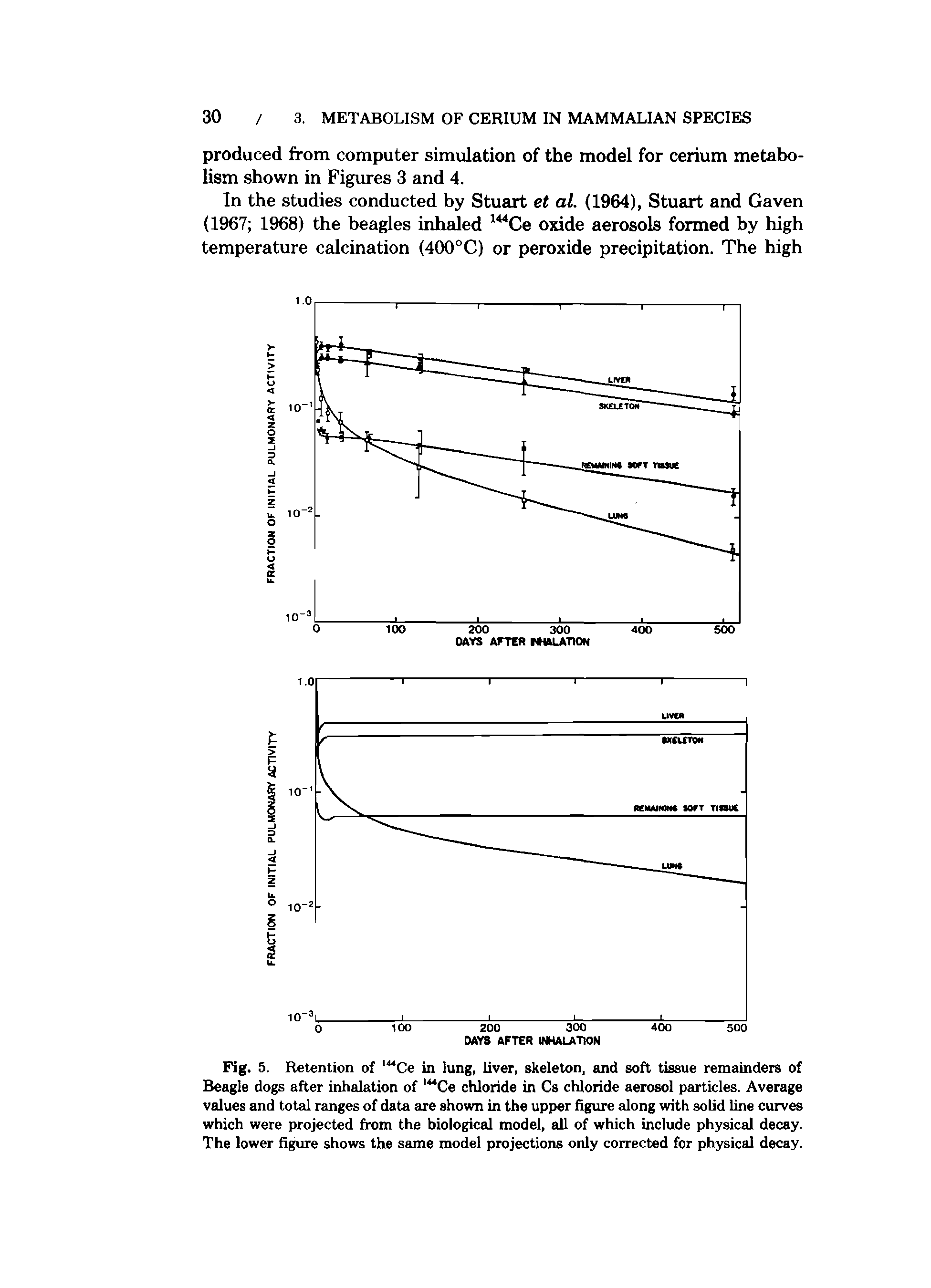 Fig. 5. Retention of 144Ce in lung, liver, skeleton, and soft tissue remainders of Beagle dogs after inhalation of l44Ce chloride in Cs chloride aerosol particles. Average values and total ranges of data are shown in the upper figure along with solid line curves which were projected from the biological model, all of which include physical decay. The lower figure shows the same model projections only corrected for physical decay.