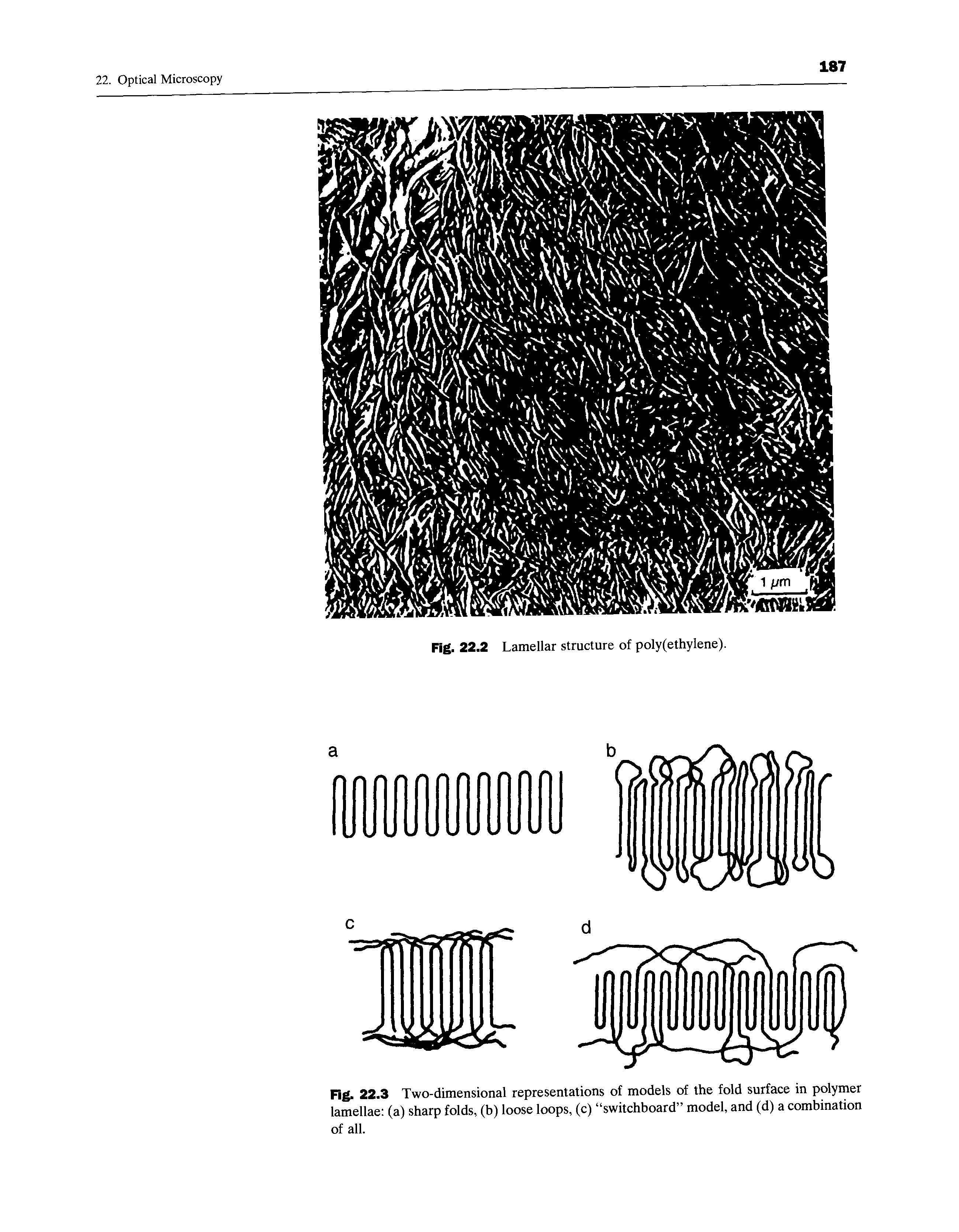 Fig. 22.3 Two-dimensional representations of models of the fold surface in polymer lamellae (a) sharp folds, (b) loose loops, (c) switchboard model, and (d) a combination of all.