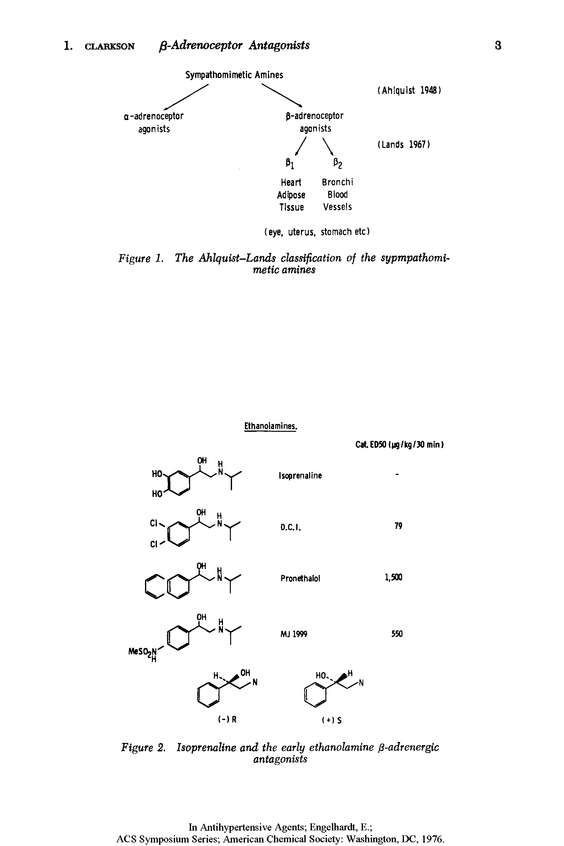 Figure 1. The Ahlquist-Lands classification of the sypmpathomi-metic amines...