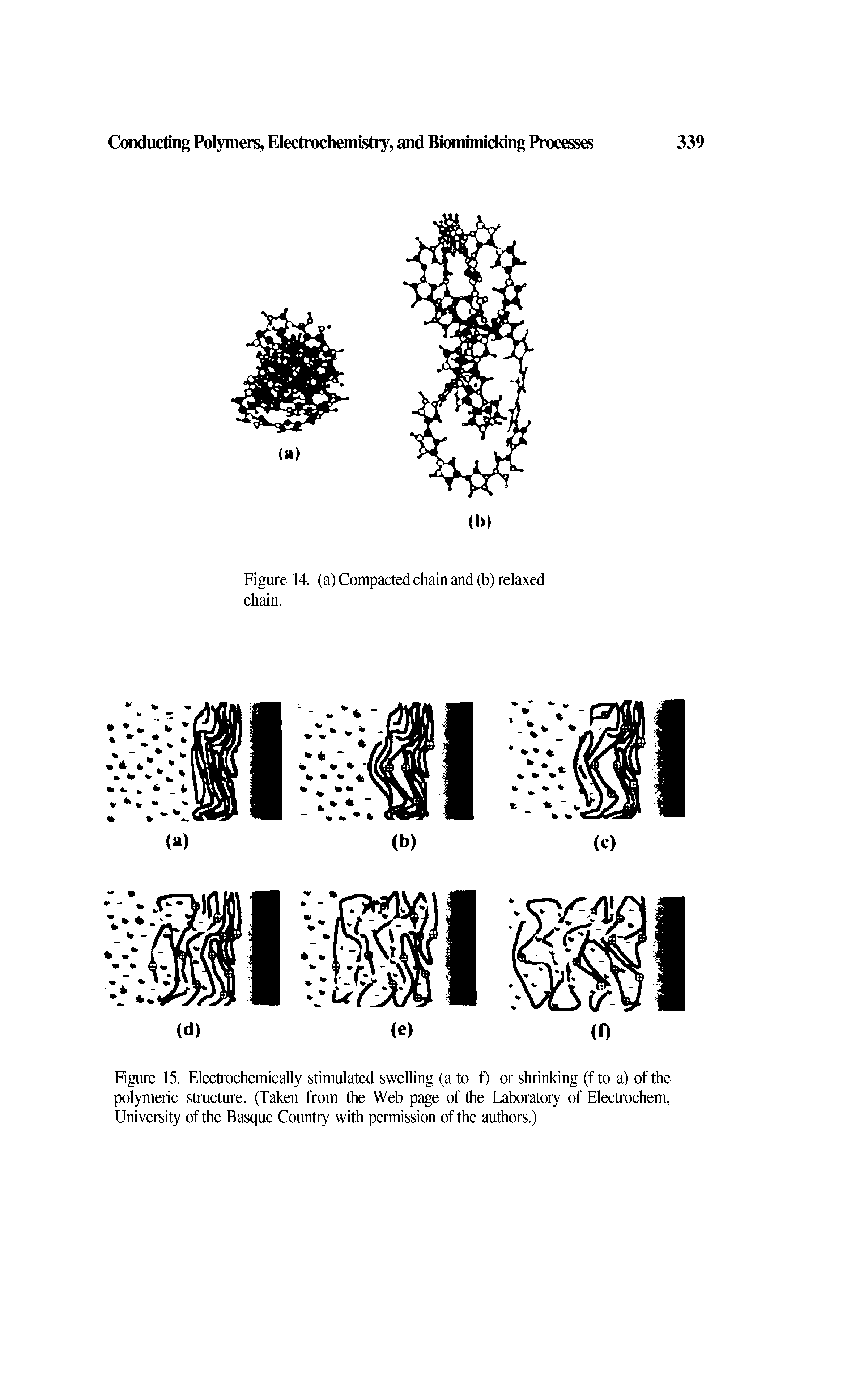 Figure 15. Electrochemically stimulated swelling (a to f) or shrinking (f to a) of the polymeric structure. (Taken from the Web page of the Laboratory of Electrochem, University of the Basque Country with permission of the authors.)...