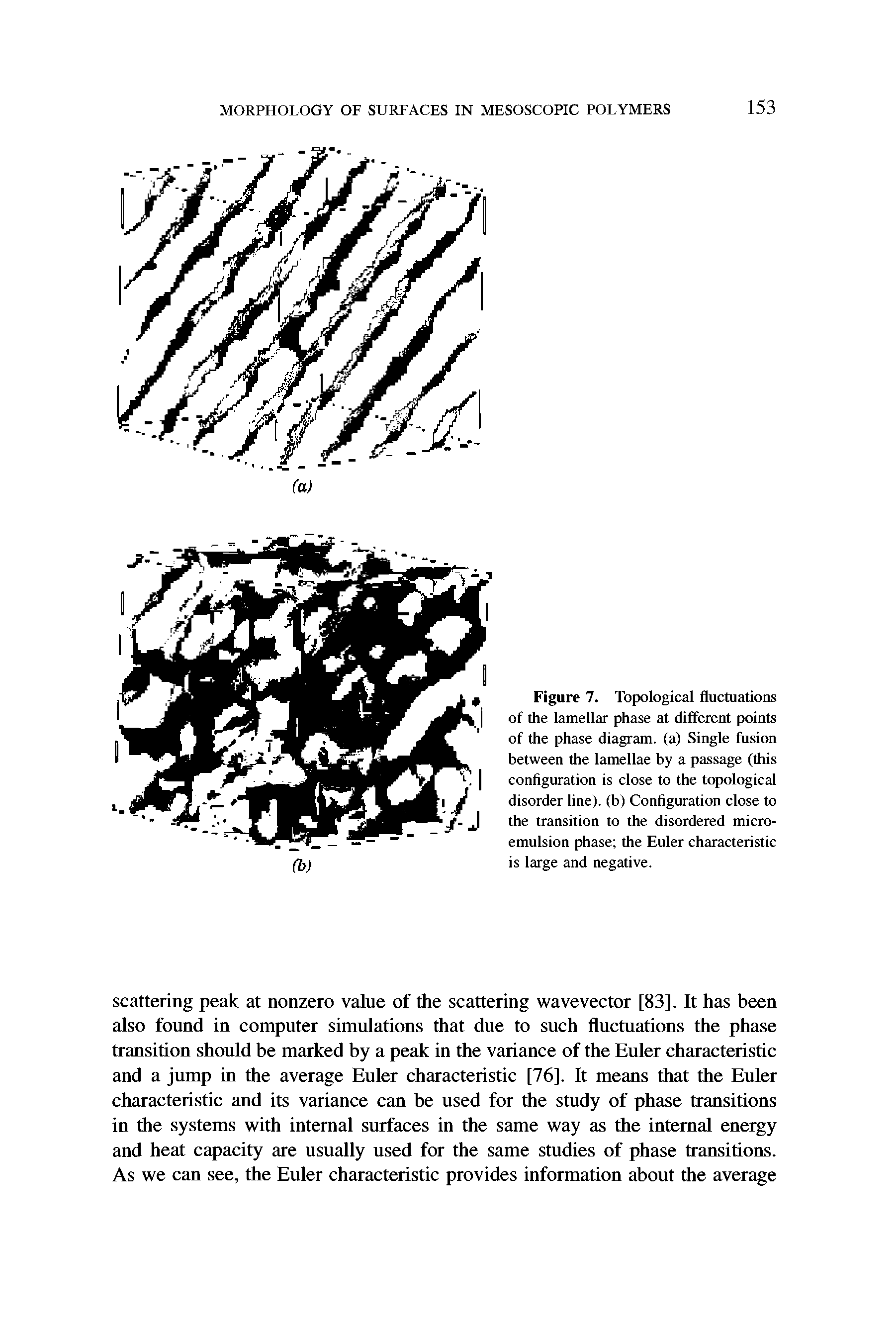 Figure 7. Topological fluctuations of the lamellar phase at different points of the phase diagram, (a) Single fusion between the lamellae by a passage (this configuration is close to the topological disorder line), (b) Configuration close to the transition to the disordered microemulsion phase the Euler characteristic is large and negative.