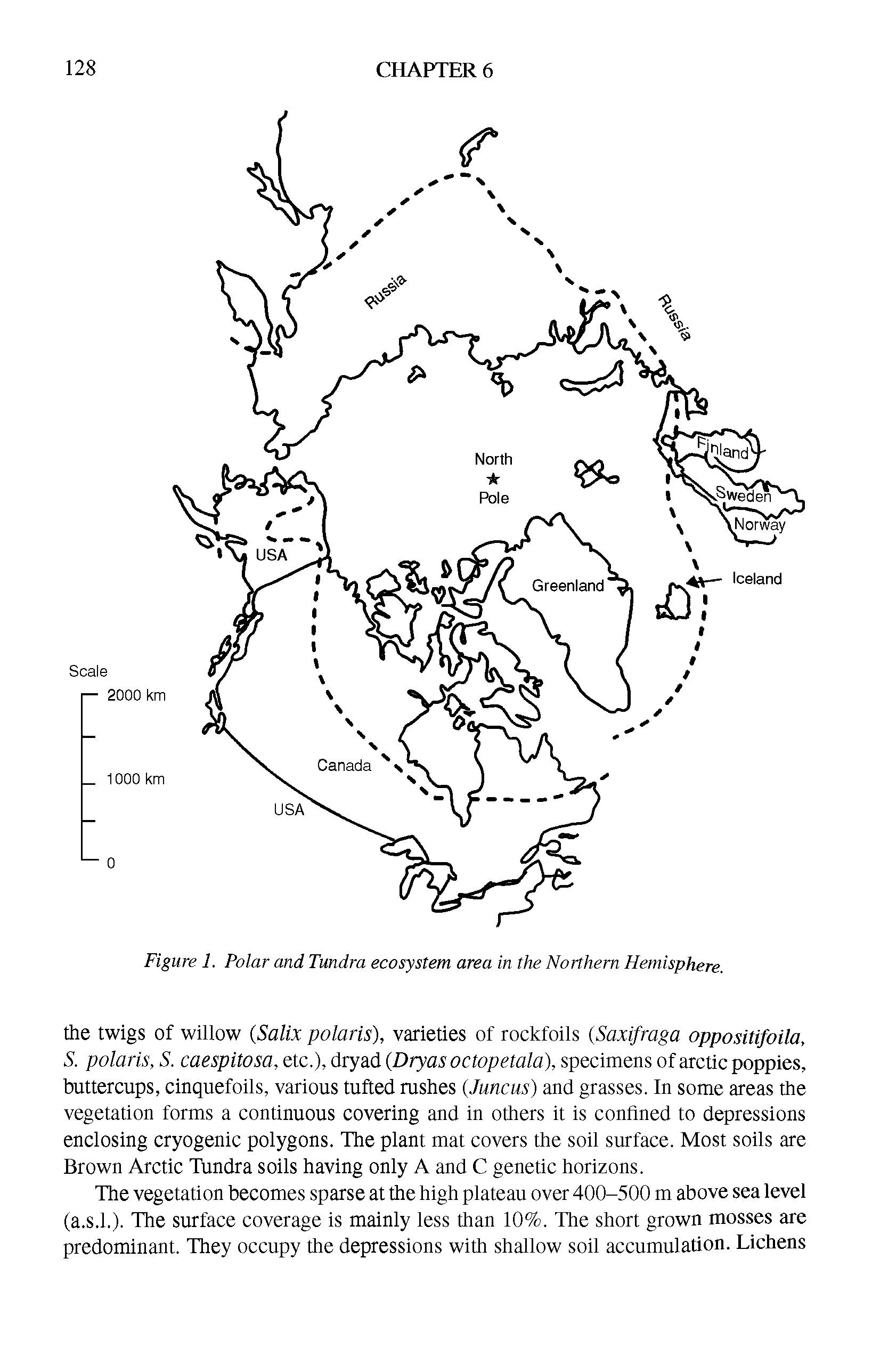 Figure 1. Polar and Tundra ecosystem area in the Northern Hemisphere.