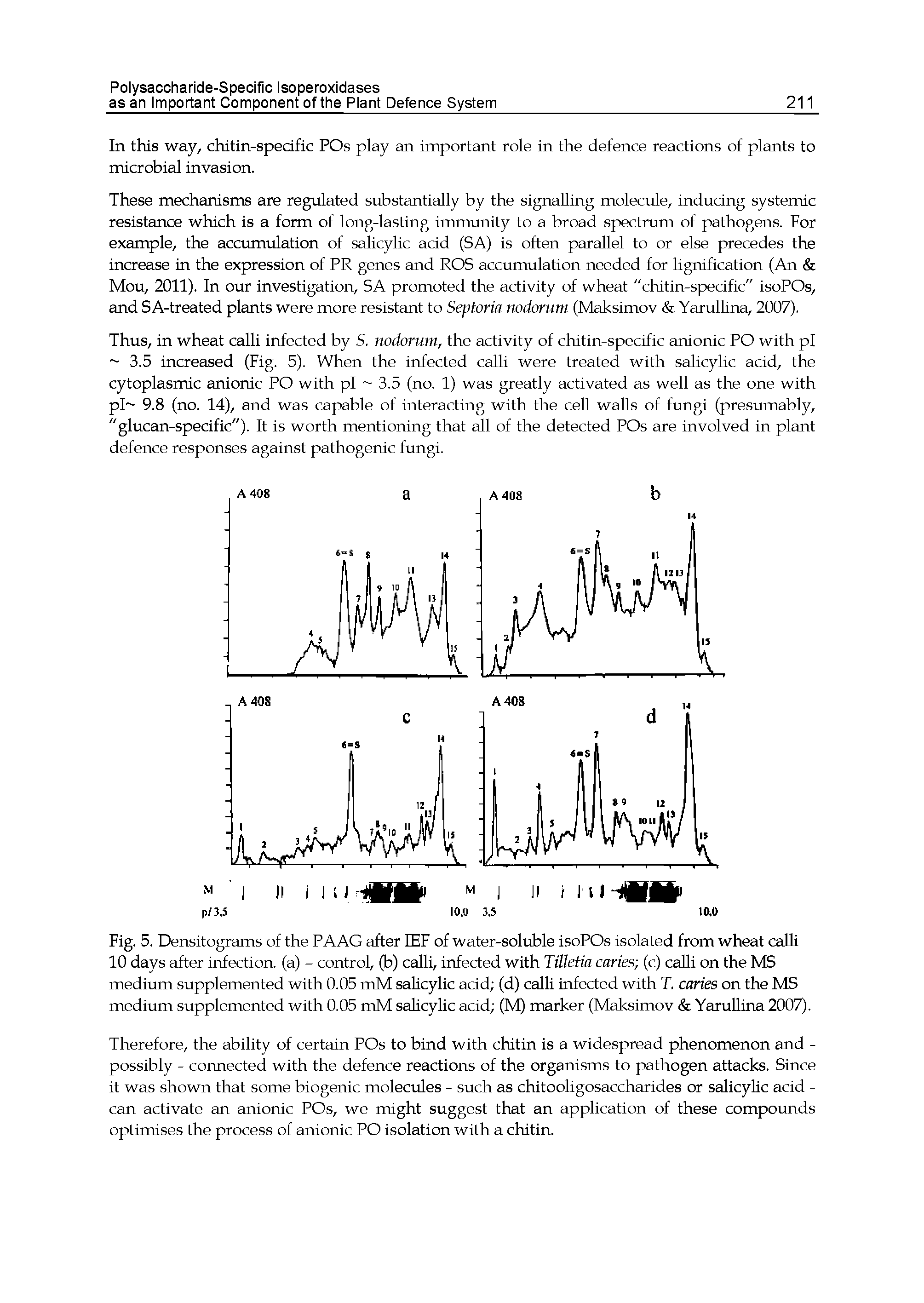 Fig. 5. Densitograms of the PAAG after lEF of water-soluble isoPOs isolated from wheat calH 10 days after infection, (a) - control, (b) calli, infected with Tilletia caries (c) calli on the MS medium supplemented with 0.05 mM salicylic acid (d) calli infected with T, caries on the MS medium supplemented with 0.05 mM salicylic acid (M) marker (Maksimov Yarullina 2007).