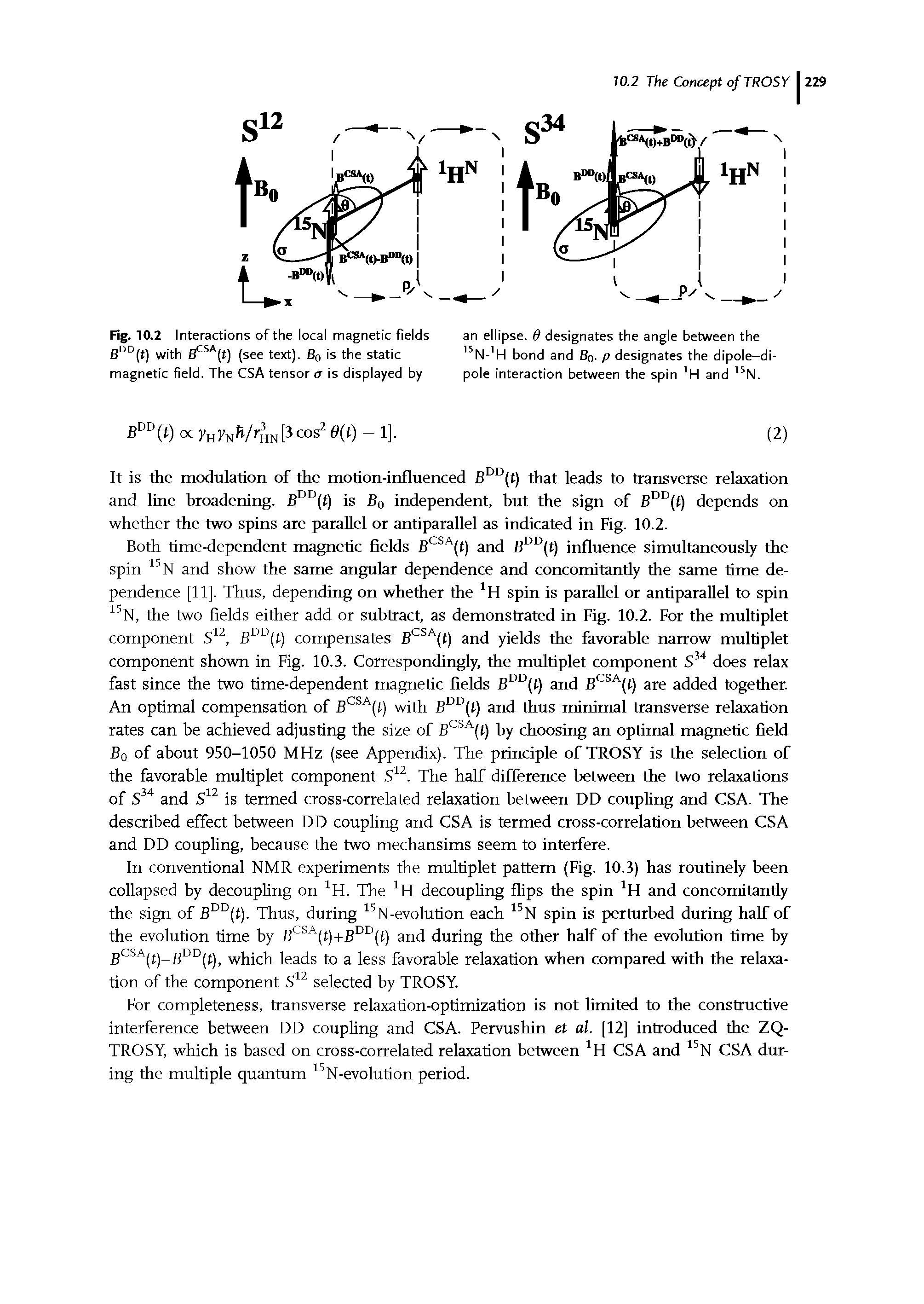 Fig. 10.2 Interactions of the local magnetic fields eDD(t) with EFSA(t) (see text). 80 s the static magnetic field. The CSA tensor a is displayed by...