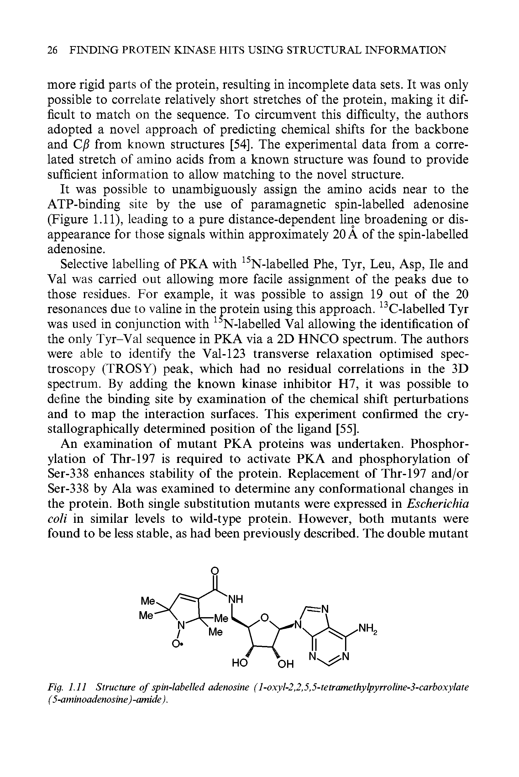 Fig. 1.11 Structure of spin-labelled adenosine (l-oxyl-2,2,5,5-tetramethylpyrroline-3-carboxylate (5-aminoadenosine) -amide).