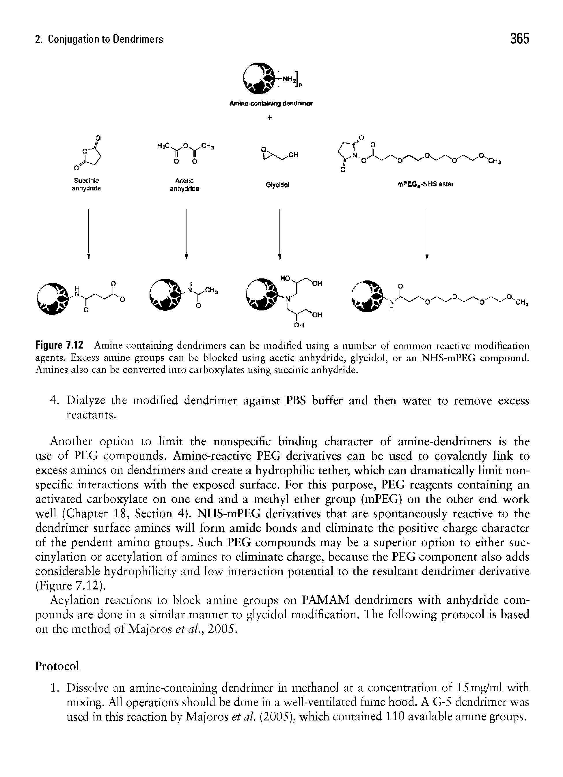 Figure 7.12 Amine-containing dendrimers can be modified using a number of common reactive modification agents. Excess amine groups can be blocked using acetic anhydride, glycidol, or an NHS-mPEG compound. Amines also can be converted into carboxylates using succinic anhydride.