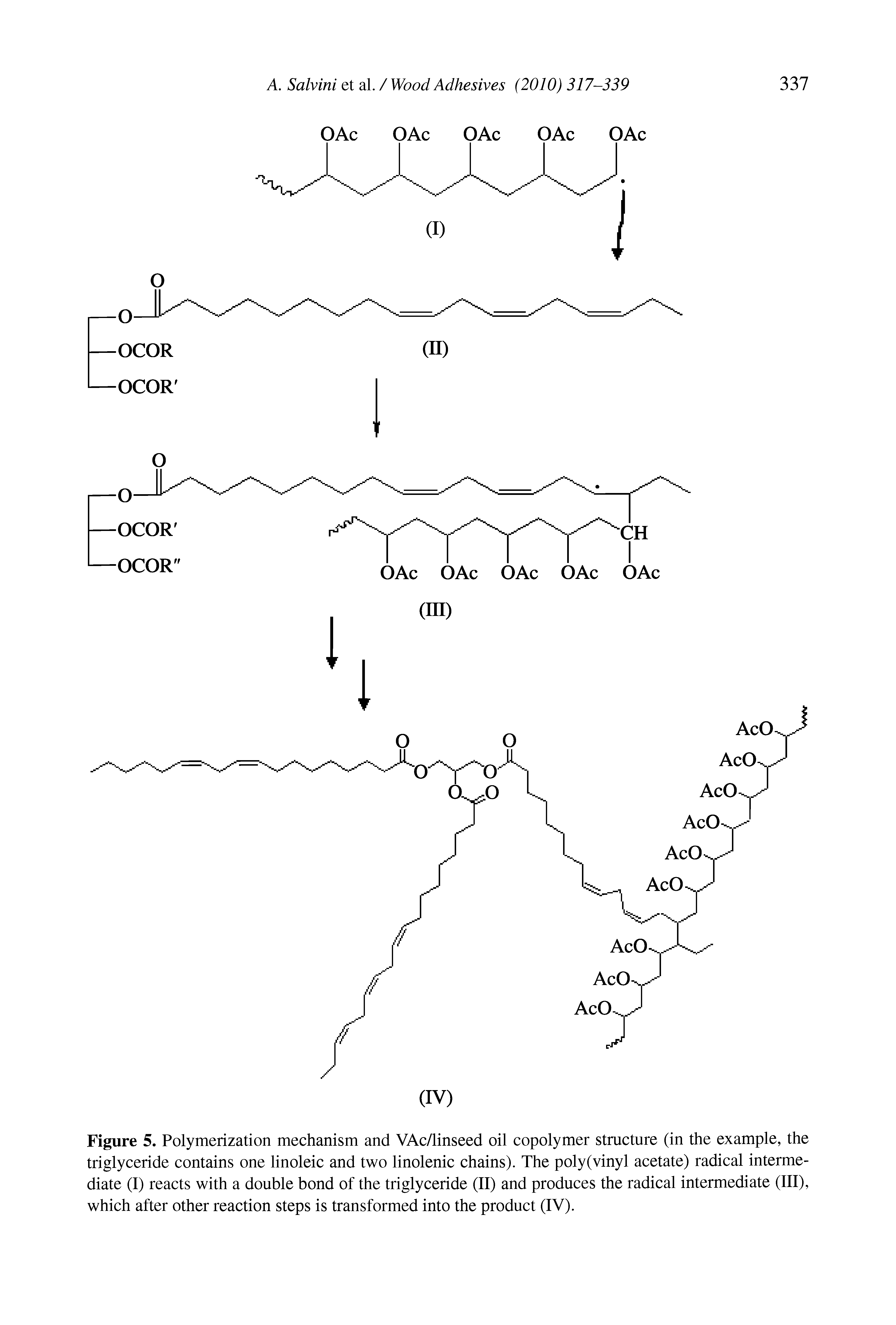 Figure 5. Polymerization mechanism and VAc/linseed oil copolymer structure (in the example, the triglyceride contains one linoleic and two linolenic chains). The poly(vinyl acetate) radical intermediate (I) reacts with a double bond of the triglyceride (II) and produces the radical intermediate (III), which after other reaction steps is transformed into the product (IV).