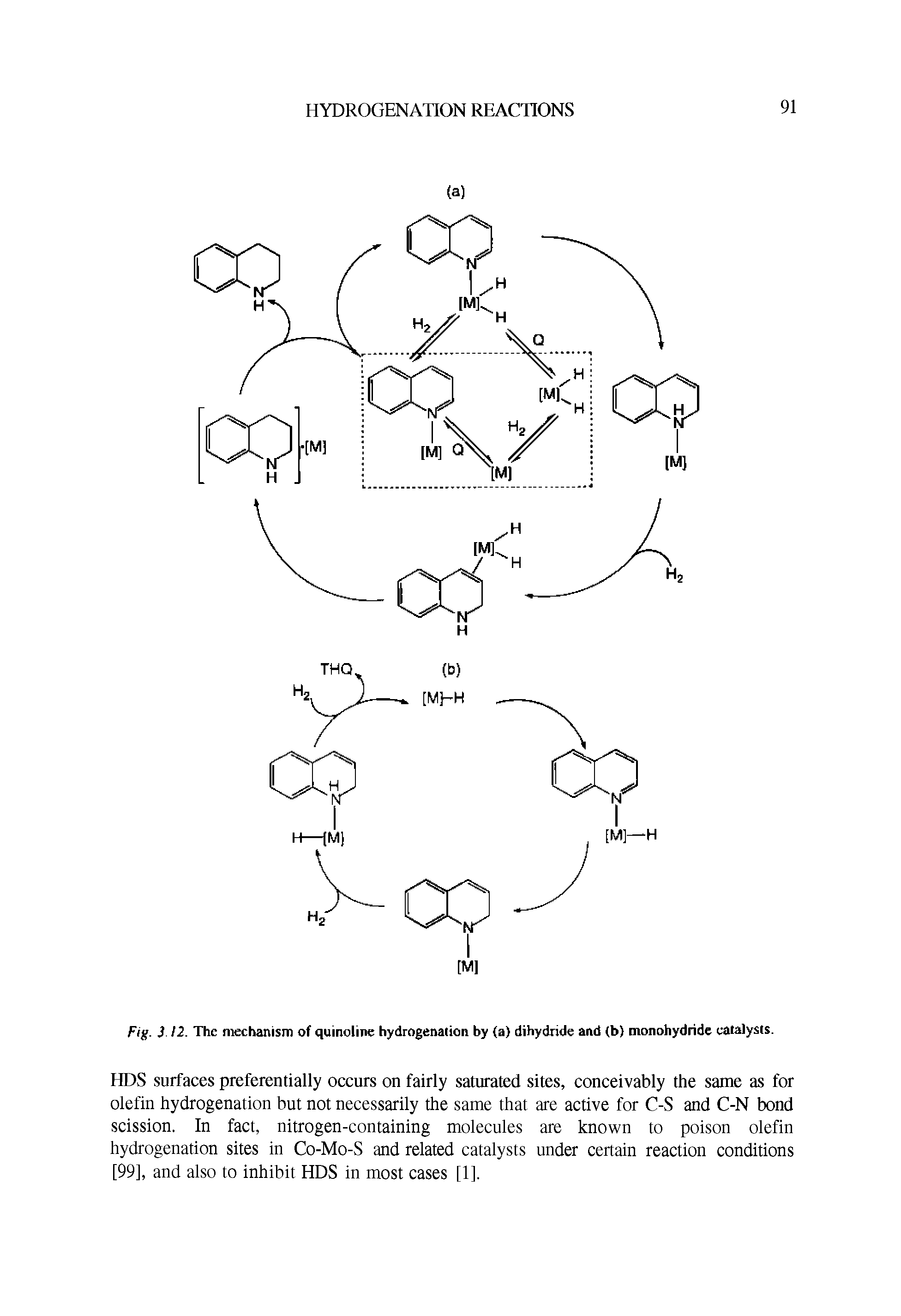 Fig. 3 12. The mechanism of quinoline hydrogenation by (a) dihydride and (b) nionohydride catalysts.