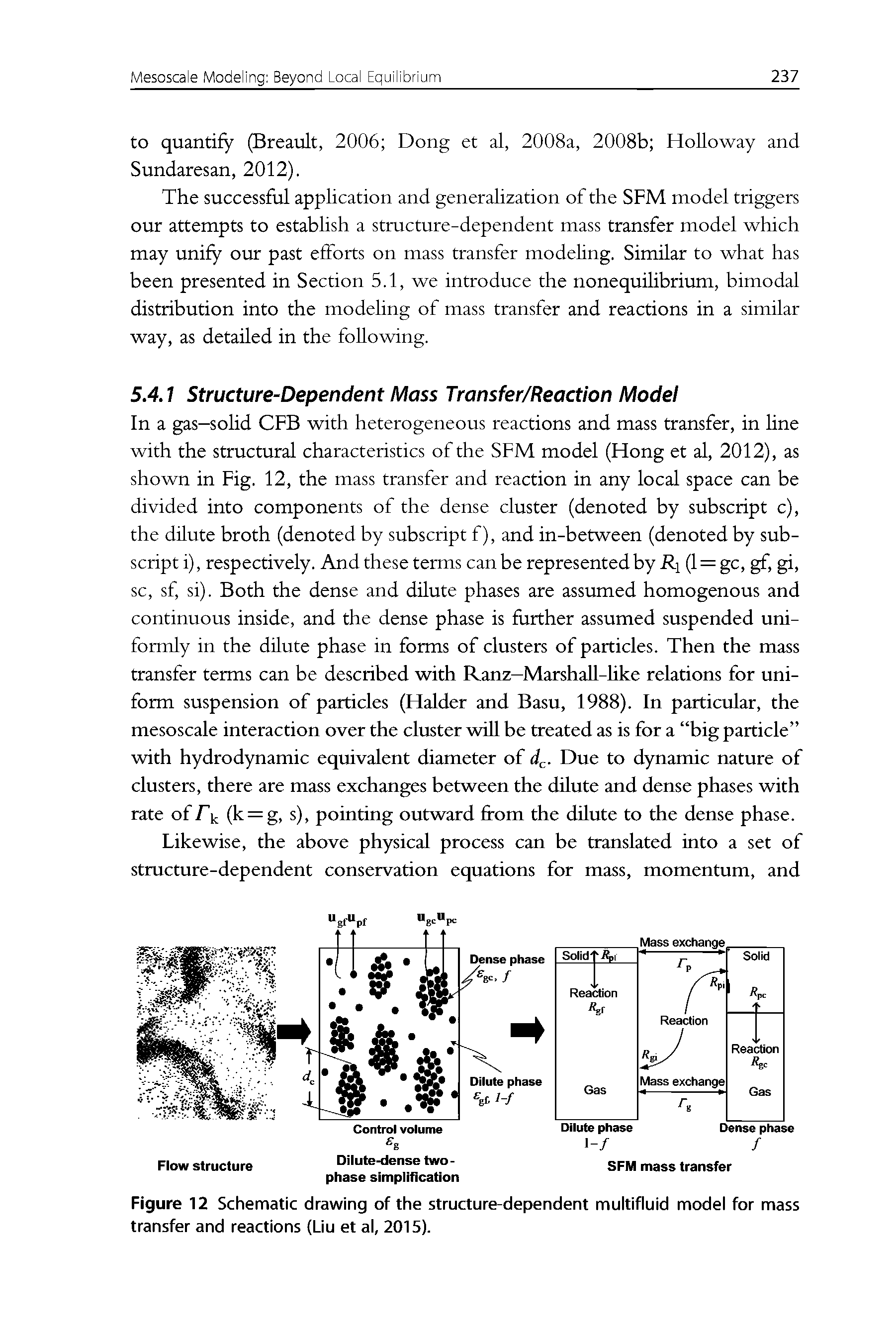 Figure 12 Schematic drawing of the structure-dependent multifluid model for mass transfer and reactions (Liu et al, 2015).