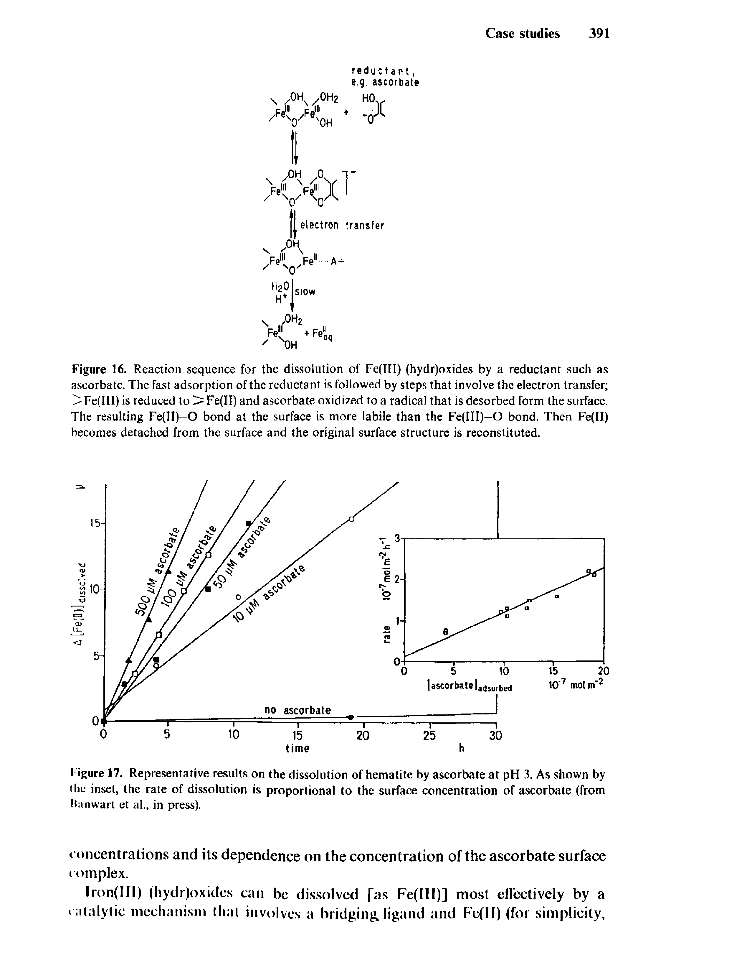 Figure 16. Reaction sequence for the dissolution of Fe(III) (hydr)oxides by a reductant such as ascorbate. The fast adsorption of the reductant is followed by steps that involve the electron transfer Fe(III) is reduced to >Fe(II) and ascorbate oxidized to a radical that is desorbed form the surface. The resulting Fe II)—O bond at the surface is more labile than the Fe(III)—O bond. Then Fe(II) becomes detached from the surface and the original surface structure is reconstituted.