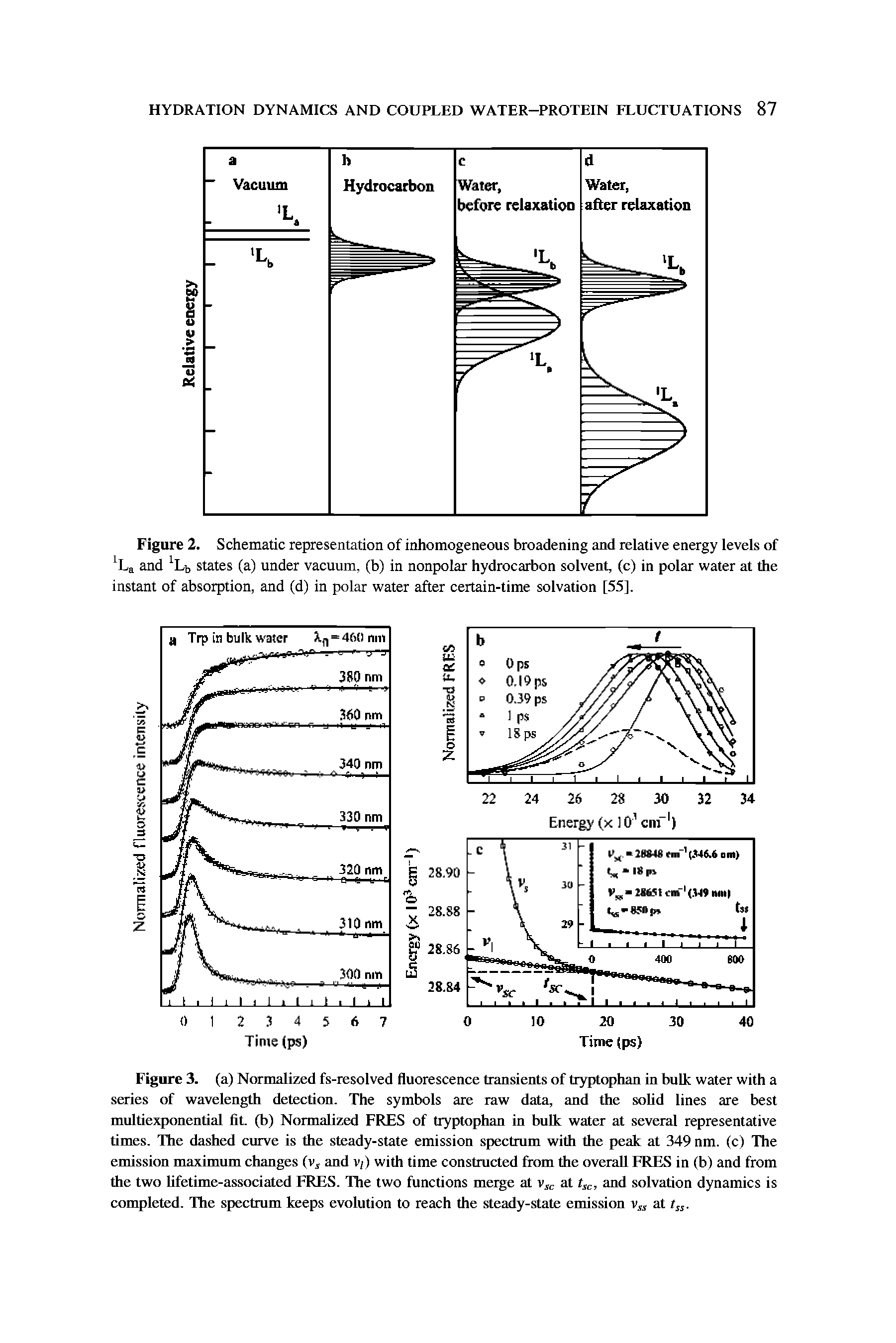 Figure 2. Schematic representation of inhomogeneous broadening and relative energy levels of and Lb states (a) under vacuum, (b) in nonpolar hydrocarbon solvent, (c) in polar water at the instant of absorption, and (d) in polar water after certain-time solvation [55],...
