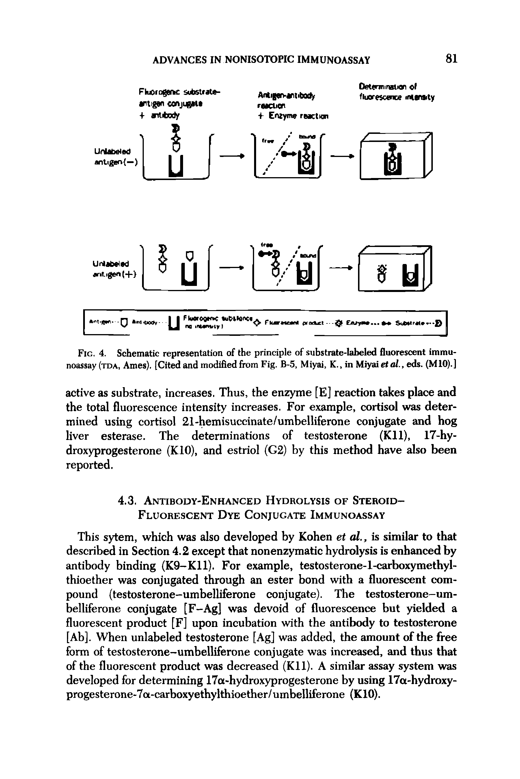 Fig. 4. Schematic representation of the principle of substrate-labeled fluorescent immunoassay (tda, Ames). [Cited and modified from Fig. B-5, Miyai, K., in Miyai etal., eds. (M10).]...