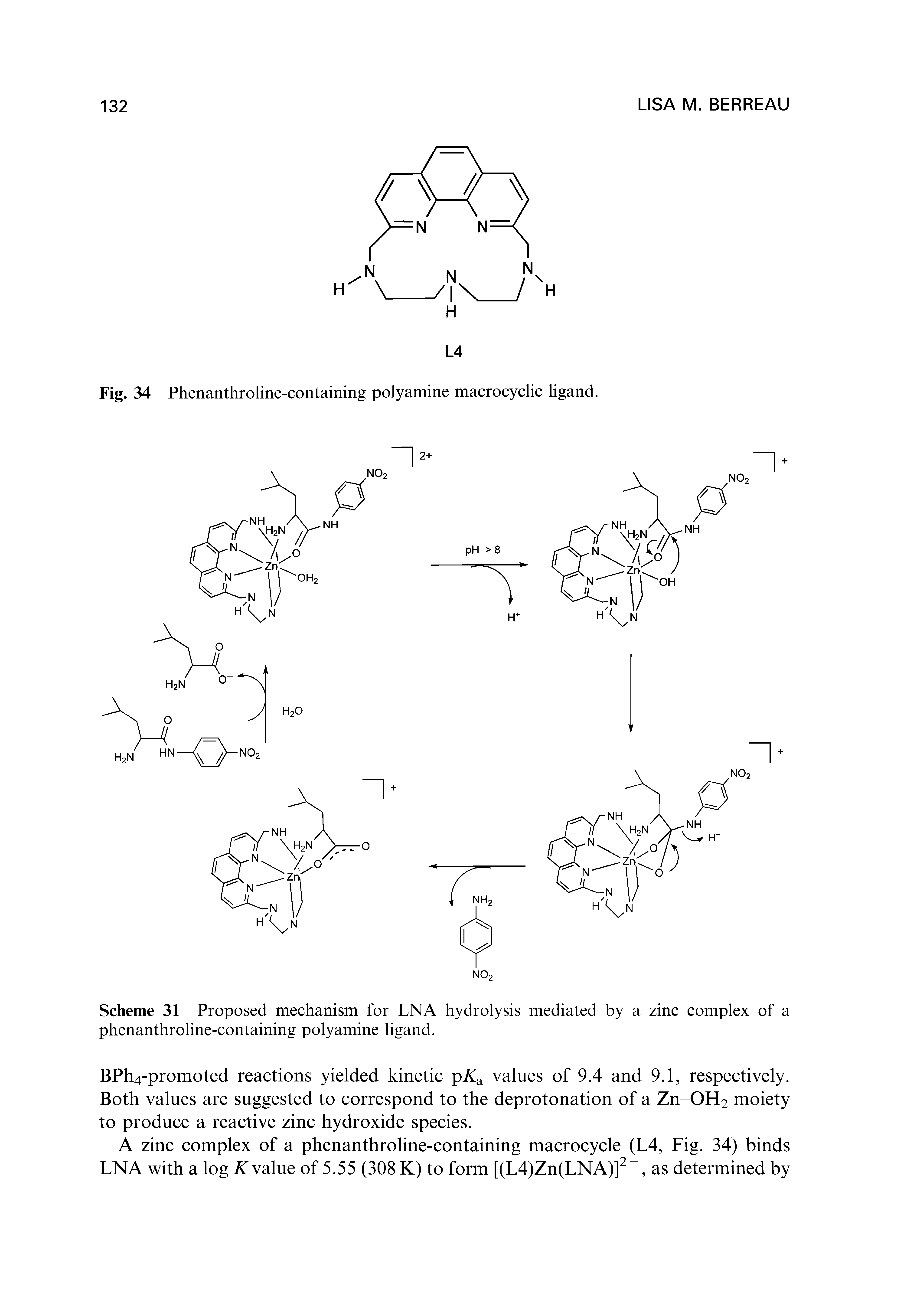 Scheme 31 Proposed mechanism for LNA hydrolysis mediated by a zinc complex of a phenanthroline-containing polyamine ligand.