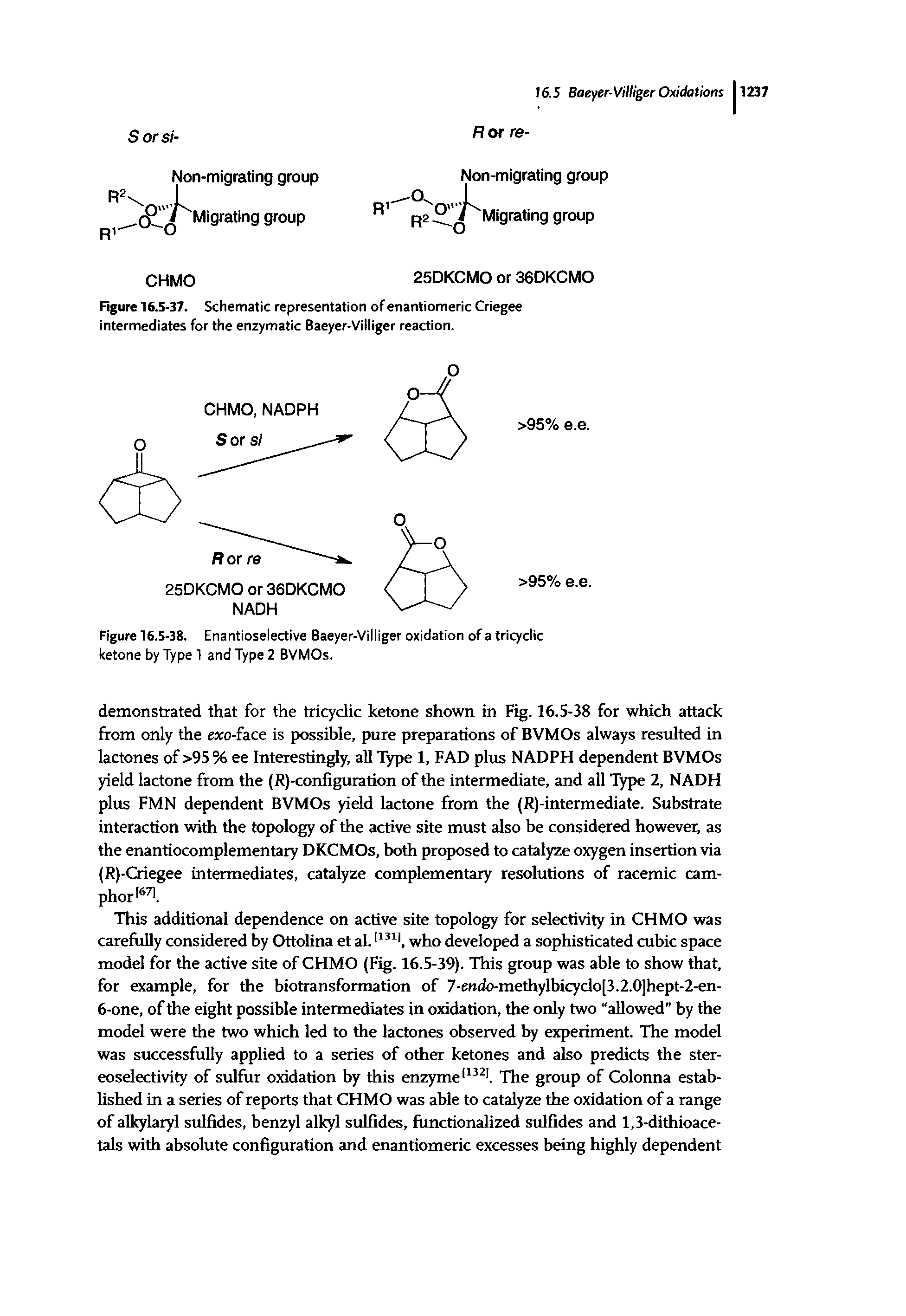 Figure 16.5-38. Enantioselective Baeyer-Villiger oxidation of a tricyclic ketone by Type 1 and Type 2 BVMOs.