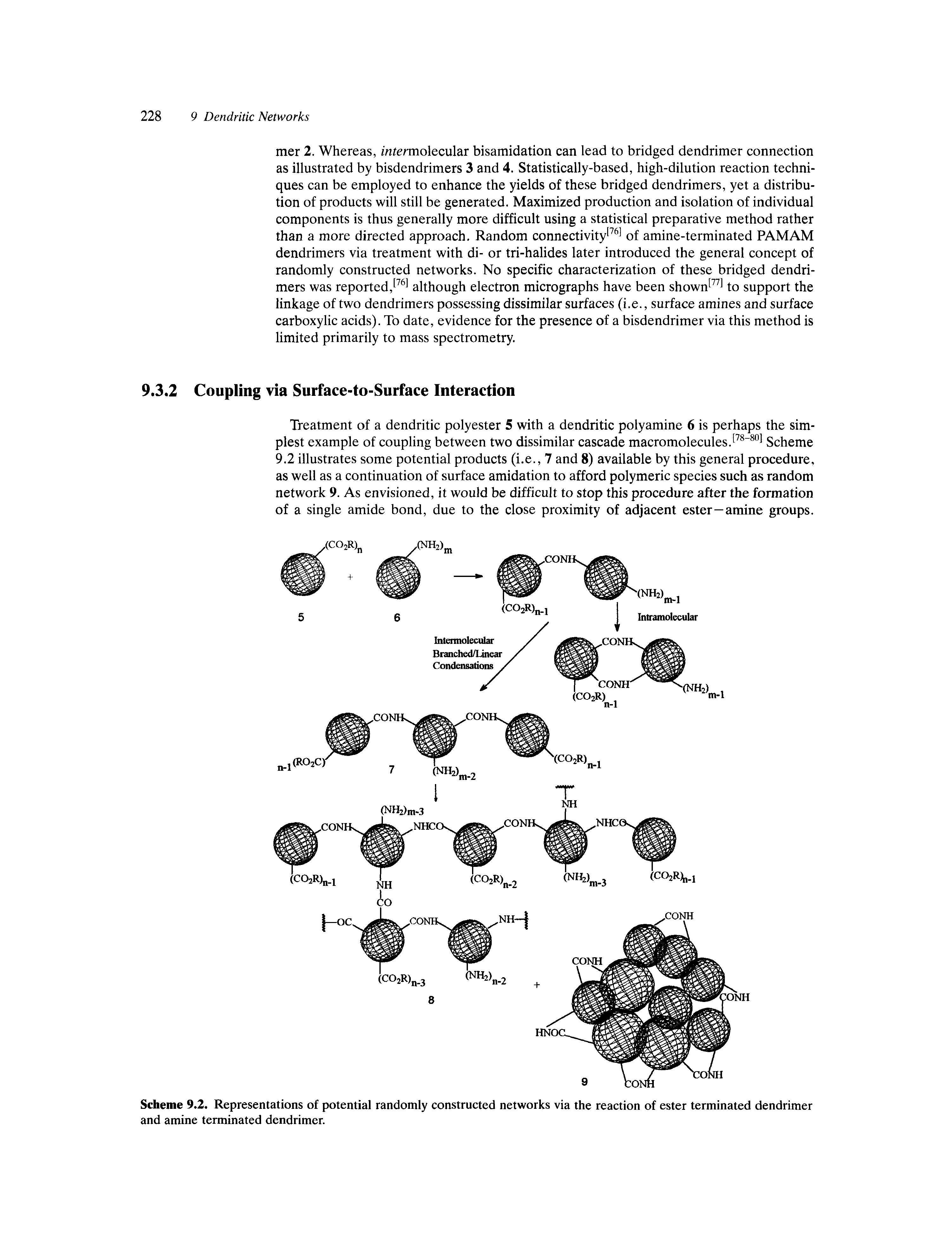 Scheme 9.2. Representations of potential randomly constructed networks via the reaction of ester terminated dendrimer and amine terminated dendrimer.