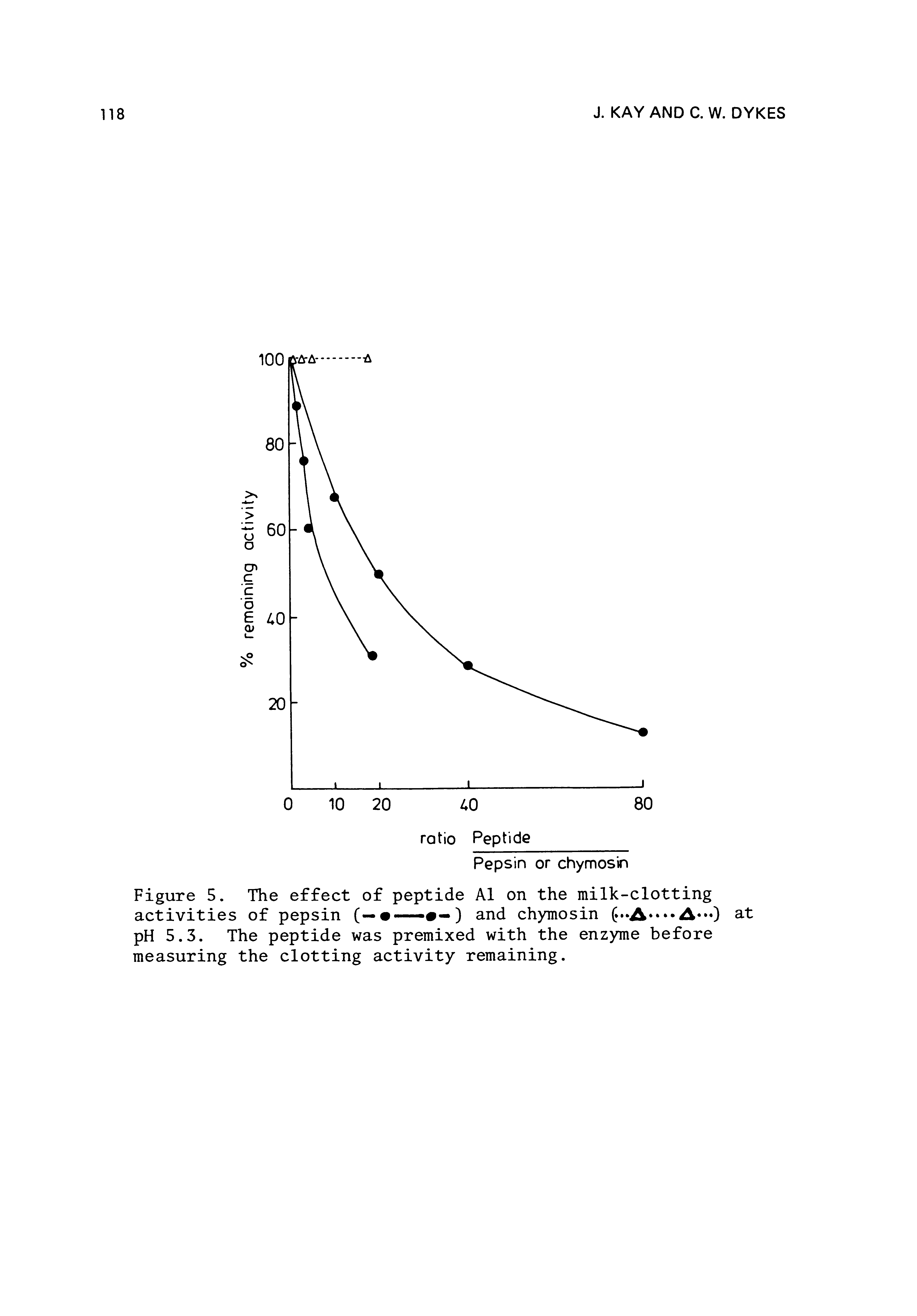 Figure 5. The effect of peptide A1 on the milk-clotting activities of pepsin (— — —) and chymosin ( A pH 5.3. The peptide was premixed with the enzyme before measuring the clotting activity remaining.