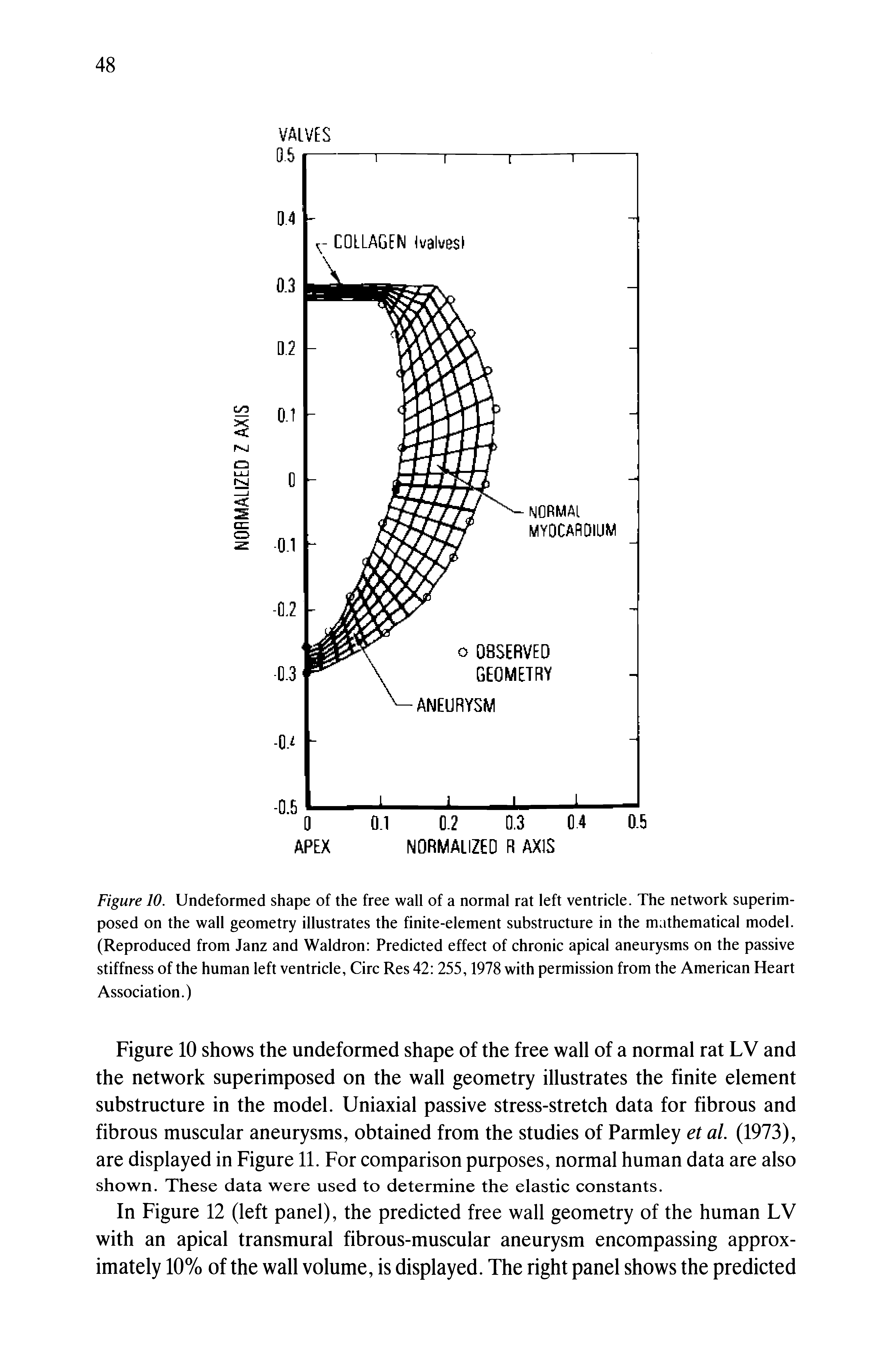Figure 10 shows the undeformed shape of the free wall of a normal rat LV and the network superimposed on the wall geometry illustrates the finite element substructure in the model. Uniaxial passive stress-stretch data for fibrous and fibrous muscular aneurysms, obtained from the studies of Parmley et al. (1973), are displayed in Figure 11. For comparison purposes, normal human data are also shown. These data were used to determine the elastic constants.