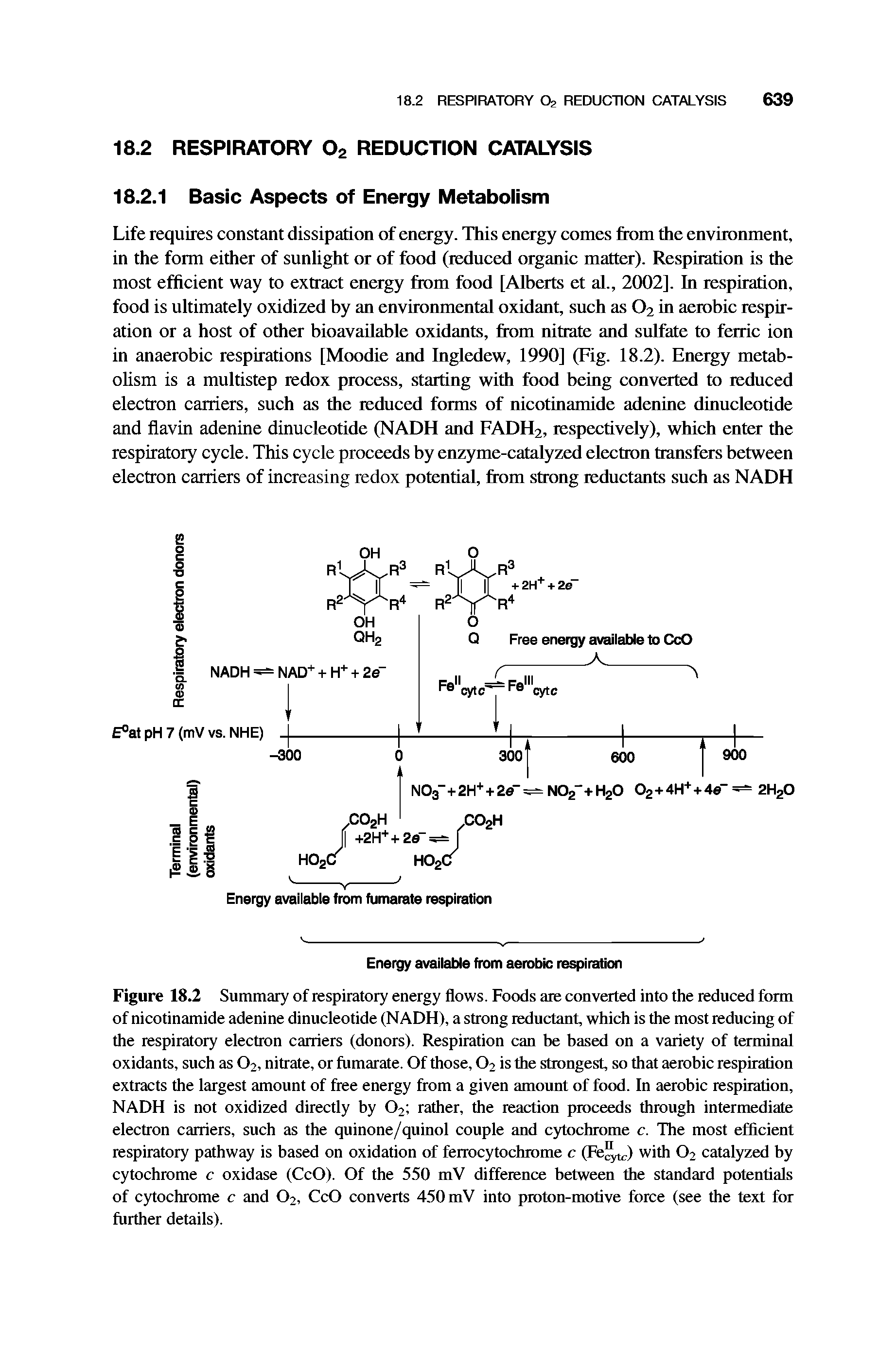 Figure 18.2 Summary of respiratory energy flows. Foods ate converted into the reduced form of nicotinamide adenine dinucleotide (NADH), a strong reductant, which is the most reducing of the respiratory electron carriers (donors). Respiration can he based on a variety of terminal oxidants, such as O2, nitrate, or fumarate. Of those, O2 is the strongest, so that aerobic respiration extracts the largest amount of free energy from a given amount of food. In aerobic respiration, NADH is not oxidized directly by O2 rather, the reaction proceeds through intermediate electron carriers, such as the quinone/quinol couple and cytochrome c. The most efficient respiratory pathway is based on oxidation of ferrocytochrome c (Fe ) with O2 catalyzed by cytochrome c oxidase (CcO). Of the 550 mV difference between the standard potentials of c)Tochrome c and O2, CcO converts 450 mV into proton-motive force (see the text for further details).