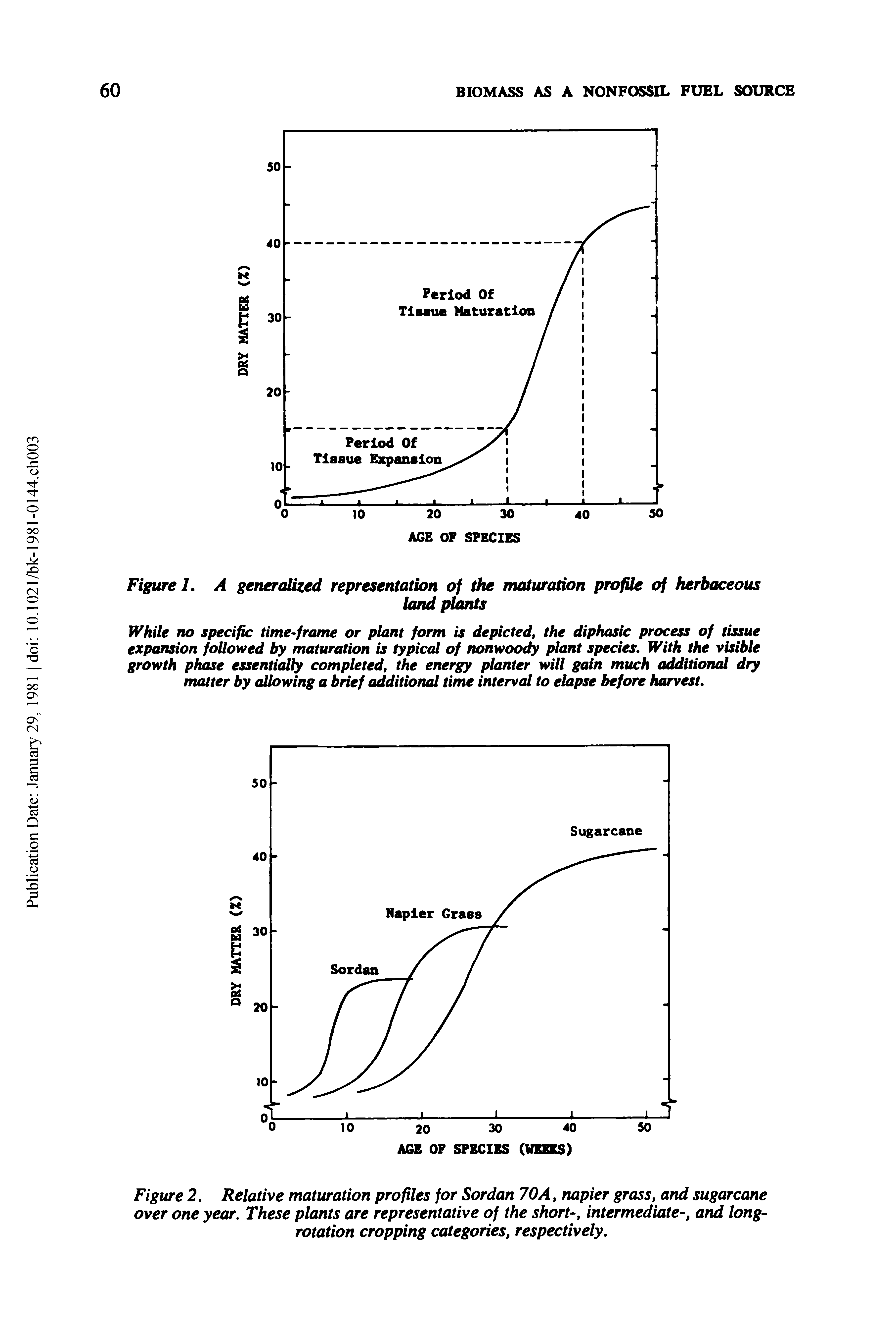 Figure 2, Relative maturation profiles for Sordan 70A, napier grass, and sugarcane over one year. These plants are representative of the short-, intermediate-, and long-rotation cropping categories, respectively.