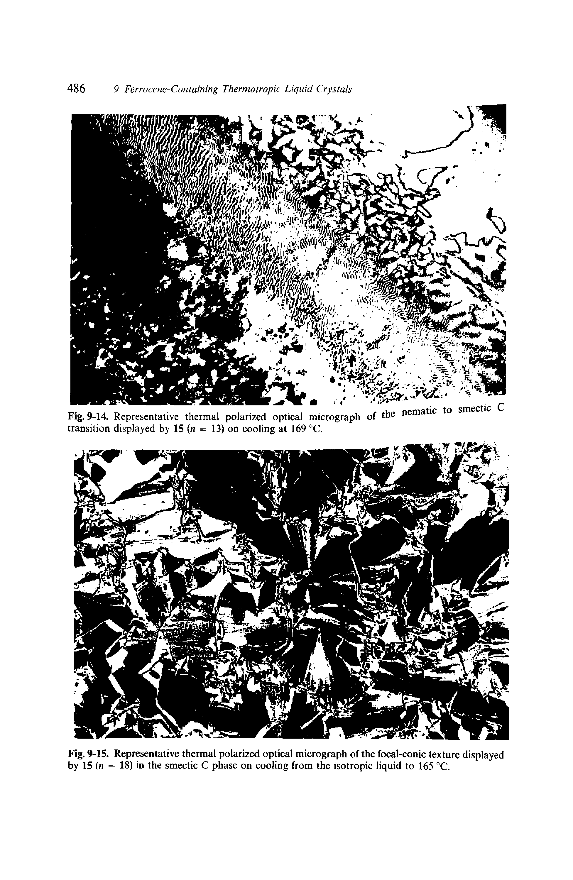 Fig. 9-14. Representative thermal polarized optical micrograph of the nematic o...