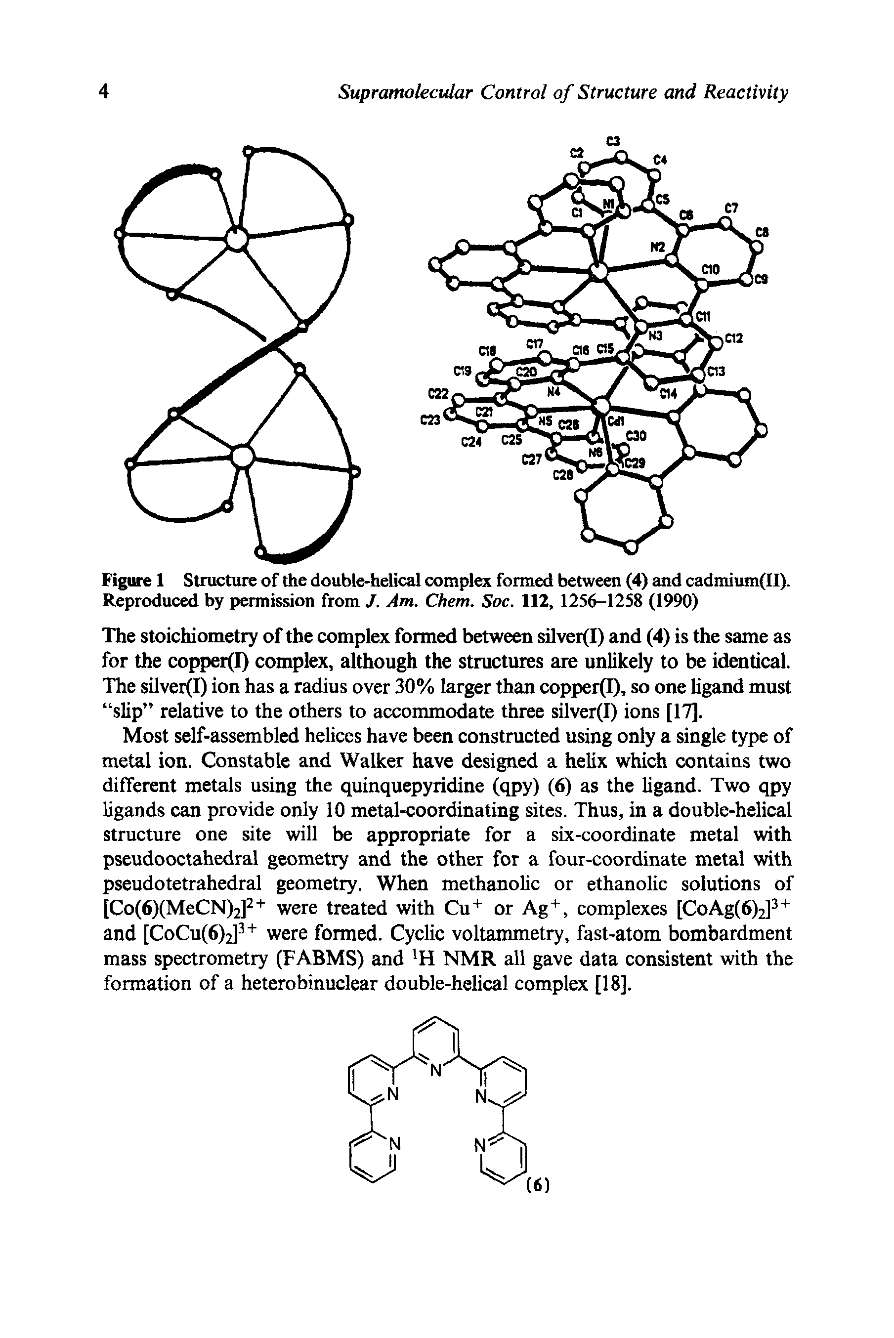 Figure 1 Structure of the double-helical complex formed between (4) and cadmium II). Reproduced by permission from J. Am. Chem. Soc. 112, 1256-1258 (1990)...