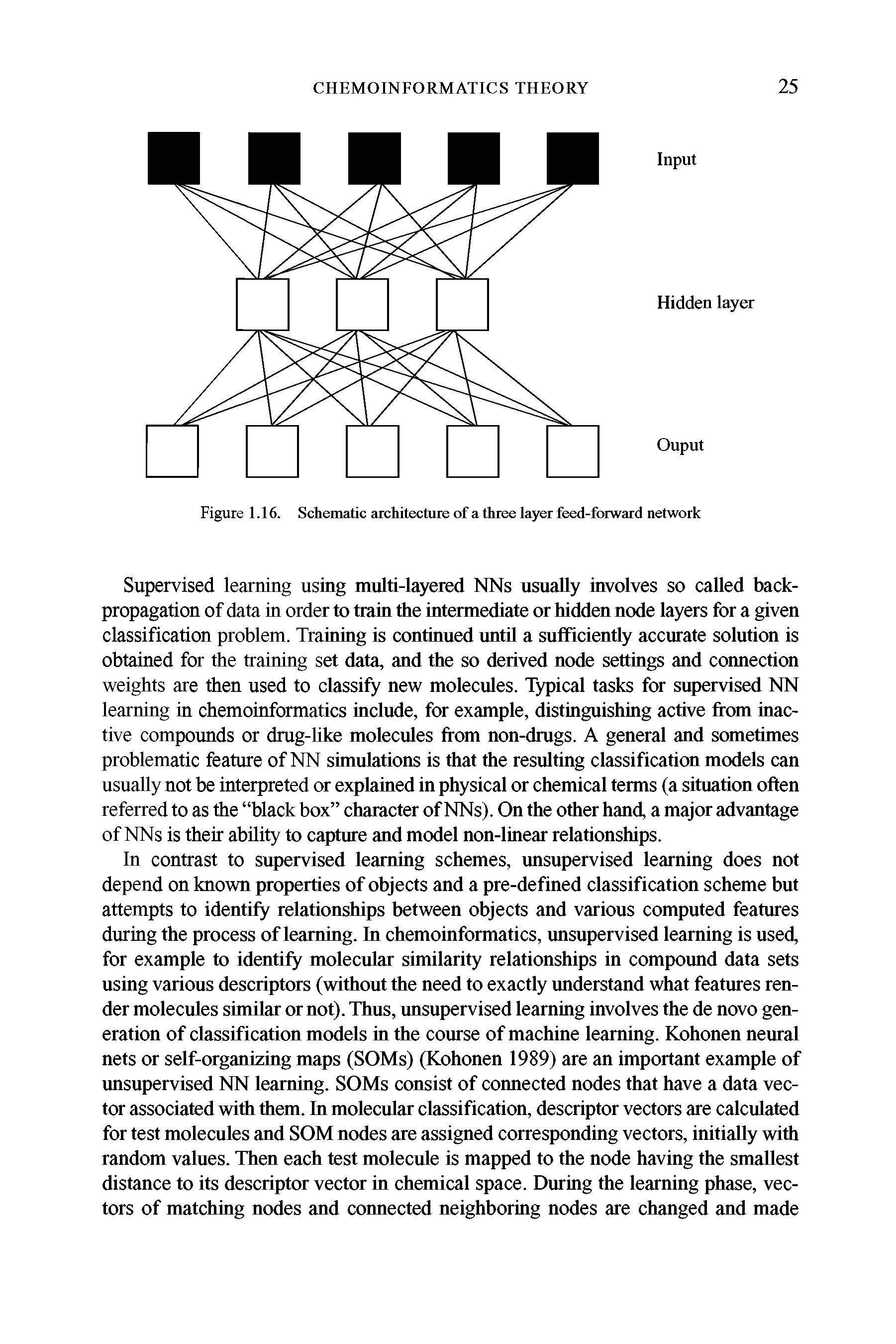 Figure 1.16. Schematic architecture of a three layer feed-forward network...