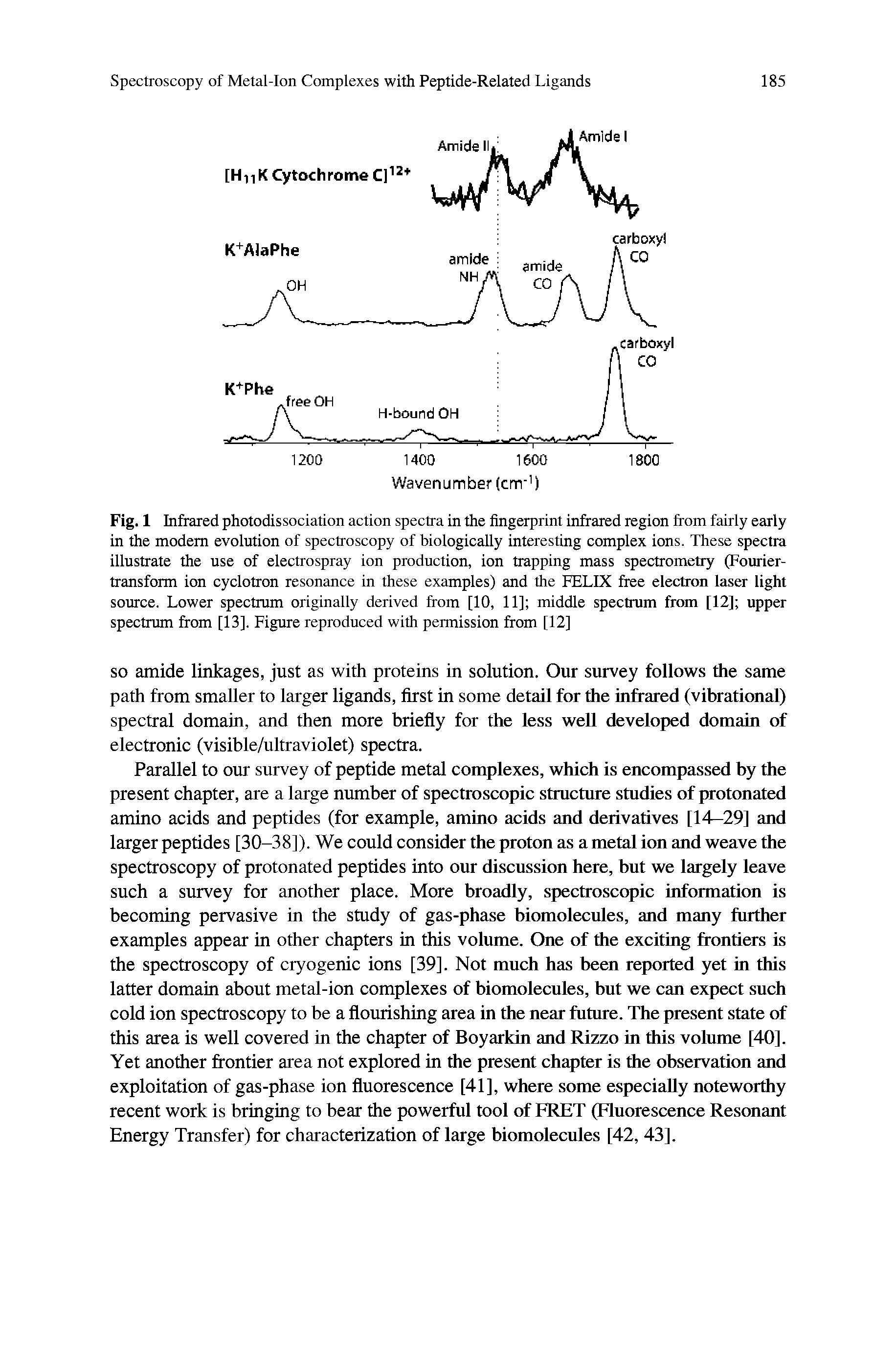 Fig. 1 Infrared photodissociation action spectra in the fingerprint infrared region Irom fairly early in the modem evolution of spectroscopy of biologically interesting complex ions. These spectra illustrate the use of electrospray ion production, ion trapping mass spectrometry (Fourier-transform ion cyclotron resonance in these examples) and the FELIX free electron laser light source. Lower spectrum originally derived from [10, 11] middle spectrum frran [12] upper spectrum from [13]. Figure reproduced with permission from [12]...