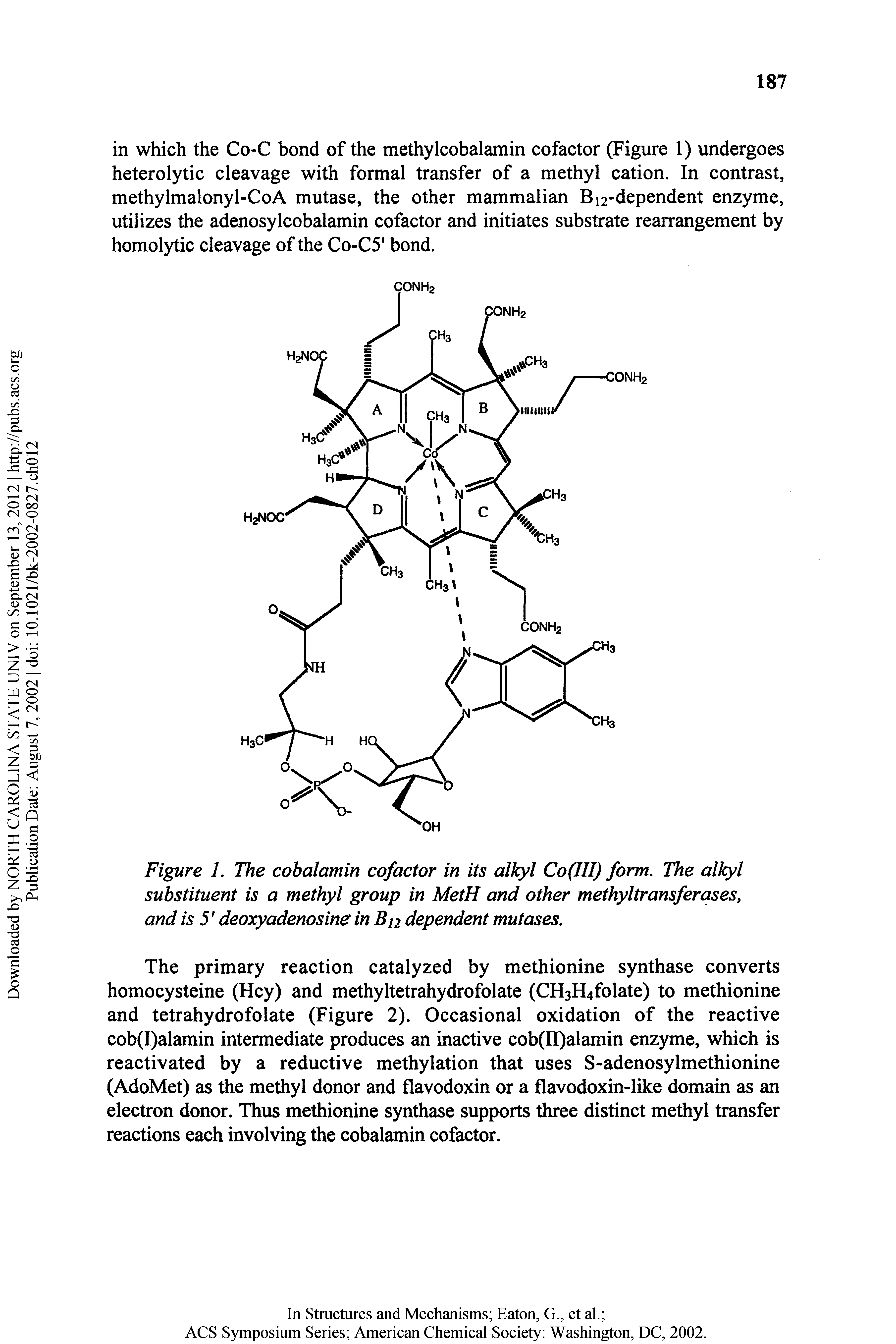 Figure 1. The cobalamin cofactor in its alkyl Co(III) form. The alkyl substituent is a methyl group in MetH and other methyltransferases, and is 5 deoxyadenosine in Bj2 dependent mutases.