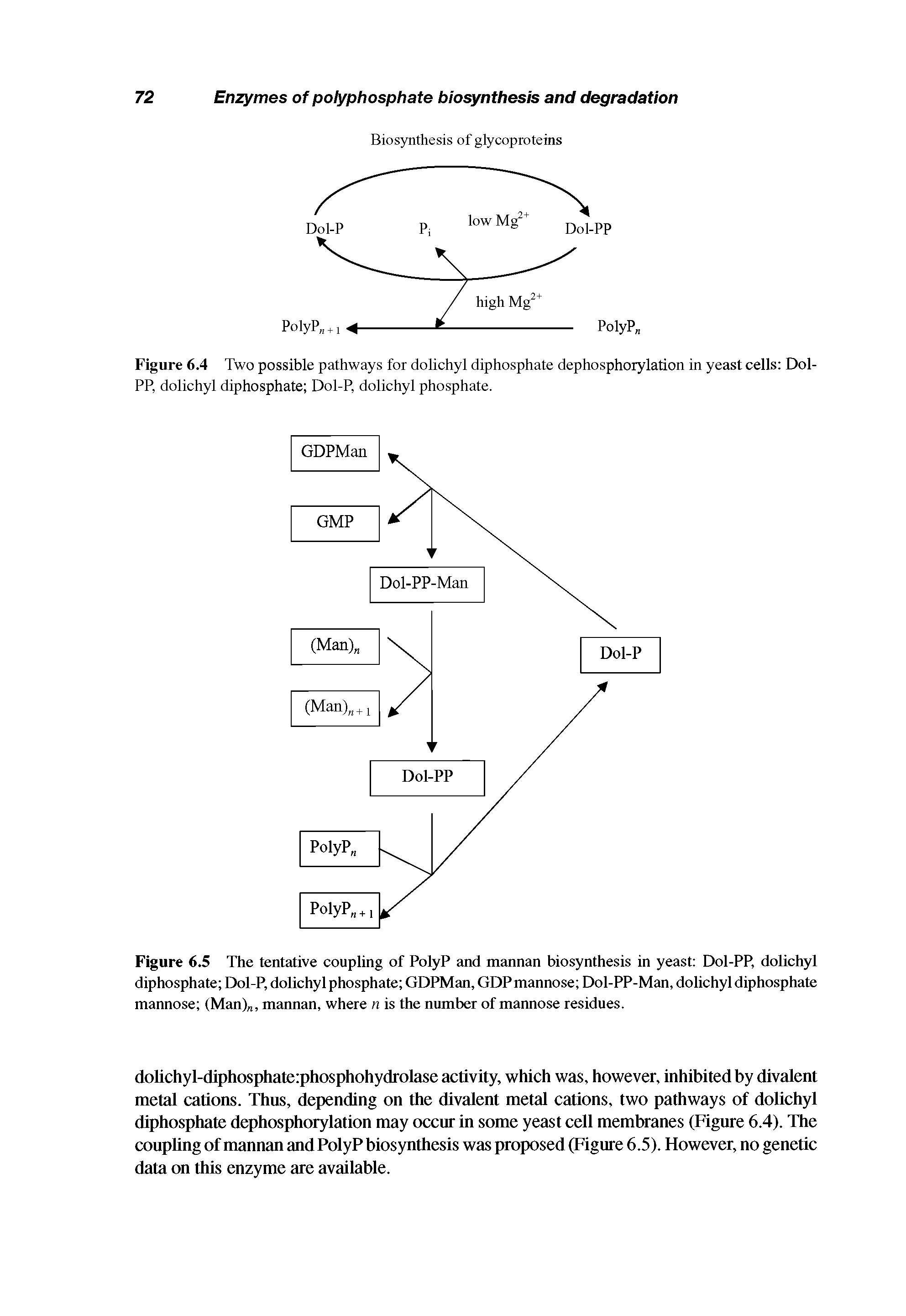 Figure 6.5 The tentative coupling of PolyP and mannan biosynthesis in yeast Dol-PP, dolichyl diphosphate Dol-P, dolichyl phosphate GDPMan, GDPmannose Dol-PP-Man, dolichyl diphosphate mannose (Man) , mannan, where n is the number of mannose residues.