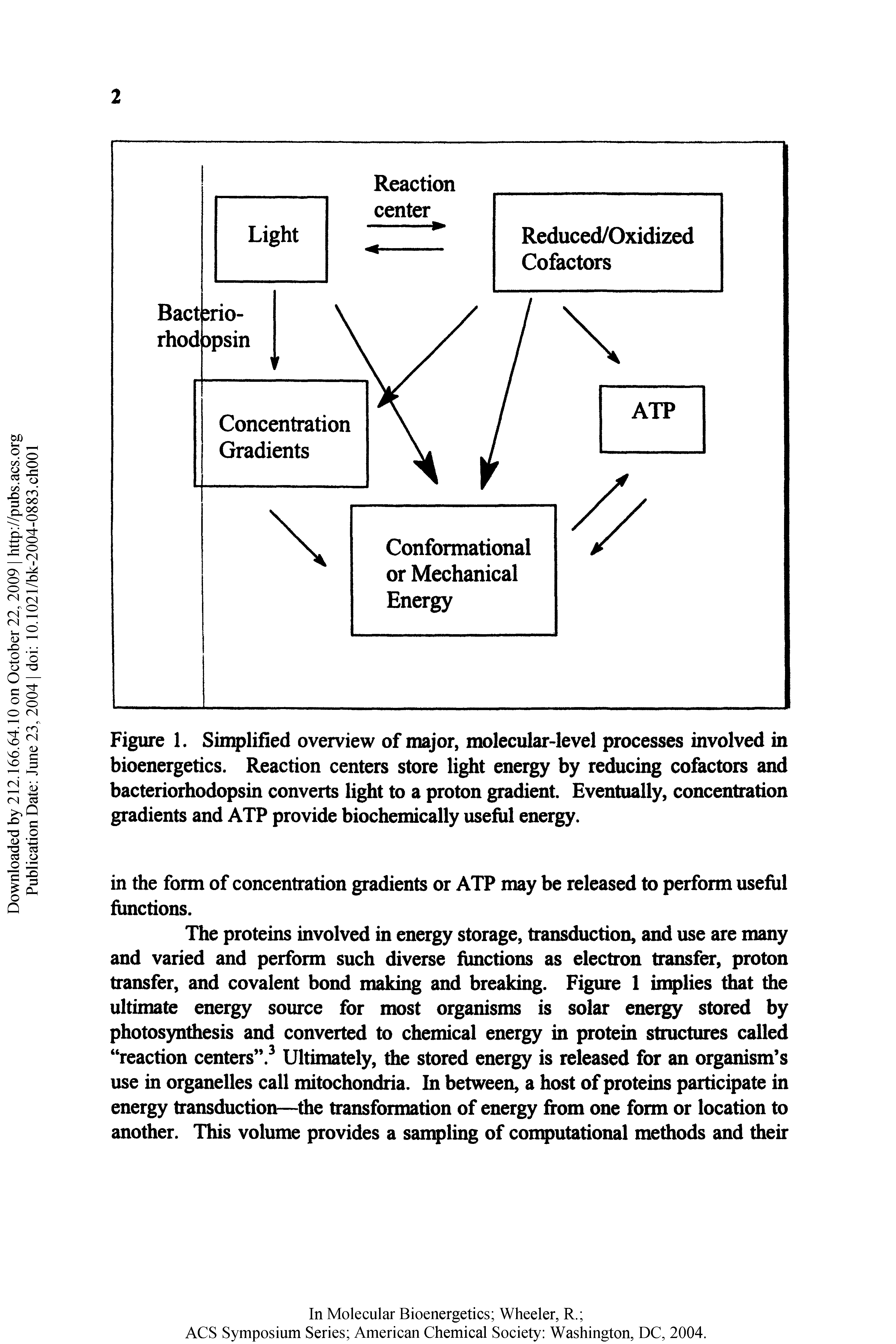 Figure 1. Simplified overview of major, molecular-level processes involved in bioenergetics. Reaction centers store light energy by reducing cofactors and bacteriorhodopsin converts light to a proton gmdient. Eventiially, concentration gradients and ATP provide biochemically useful energy.