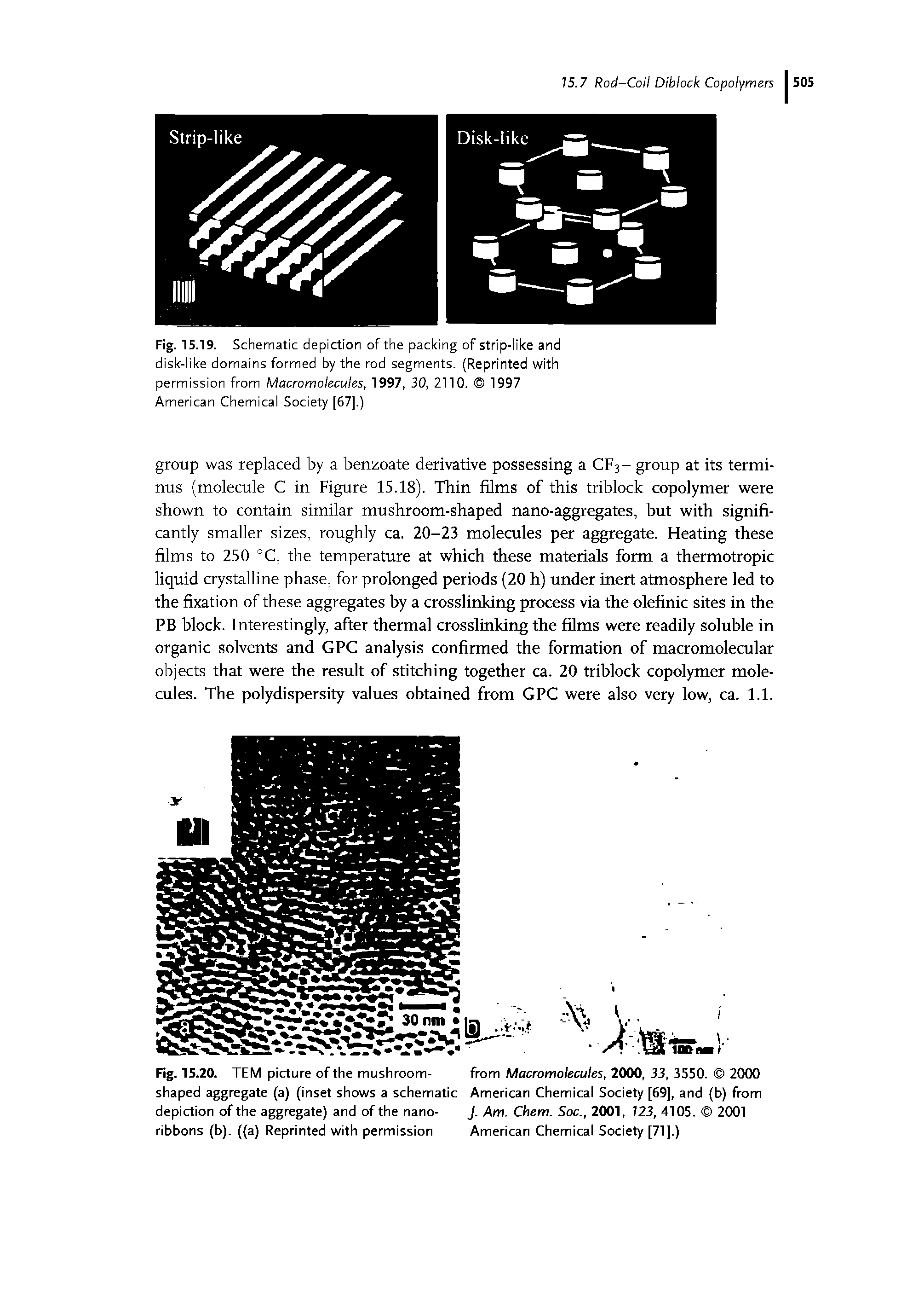 Fig. 15.19. Schematic depiction of the packing of strip-like and disk-like domains formed by the rod segments. (Reprinted with permission from Macromolecules, 1997, 30, 2110. 1997 American Chemical Society [67].)...