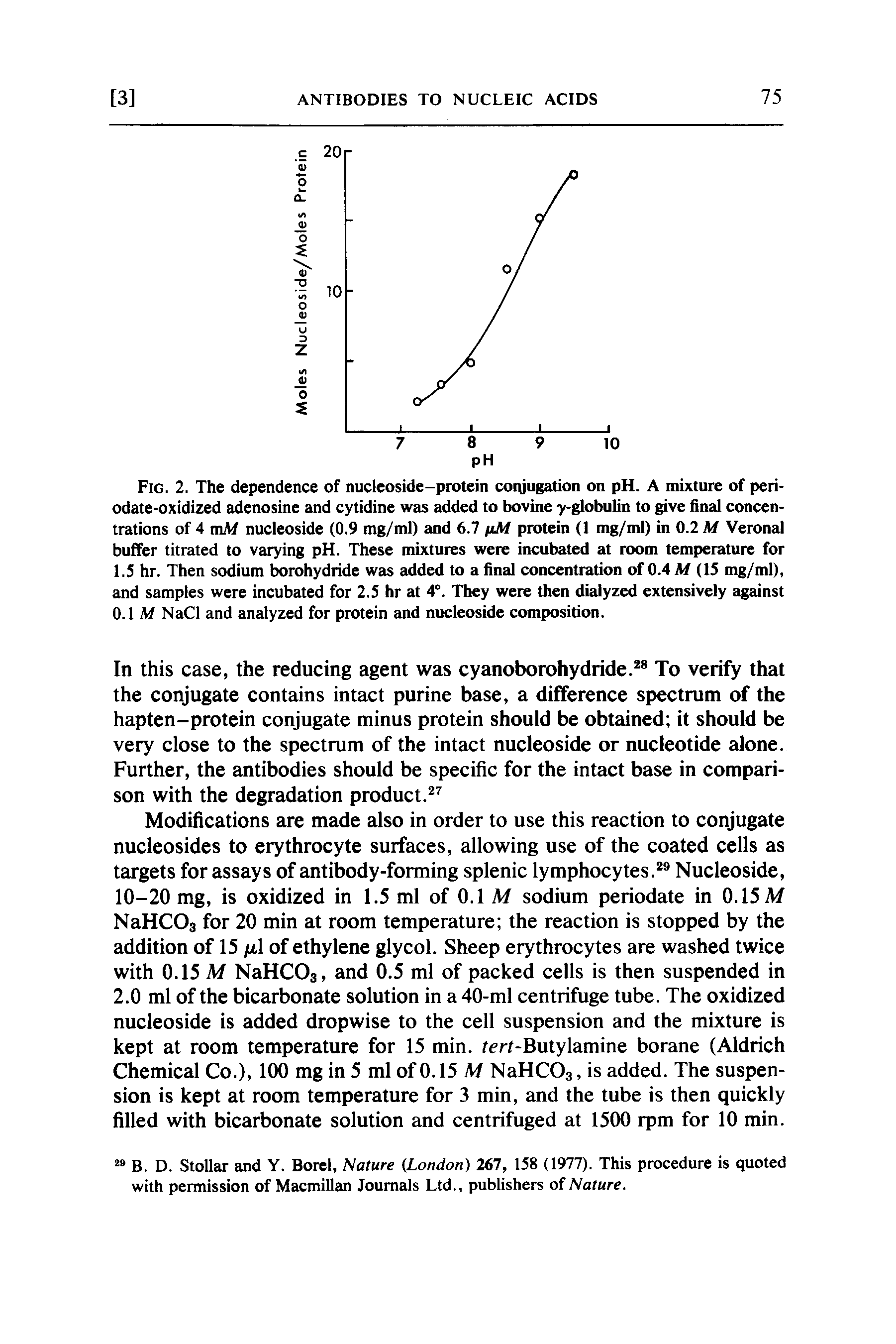 Fig. 2. The dependence of nucleoside-protein conjugation on pH. A mixture of periodate-oxidized adenosine and cytidine was added to bovine y-globulin to give final concentrations of 4 mM nucleoside (0.9 mg/ml) and 6.7 ftM protein (1 mg/ml) in 0.2 M Veronal buffer titrated to varying pH. These mixtures were incubated at room temperature for 1.5 hr. Then sodium borohydride was added to a final concentration of 0.4 M (15 mg/ml), and samples were incubated for 2.5 hr at 4°. They were then dialyzed extensively against 0.1 M NaCl and analyzed for protein and nucleoside composition.