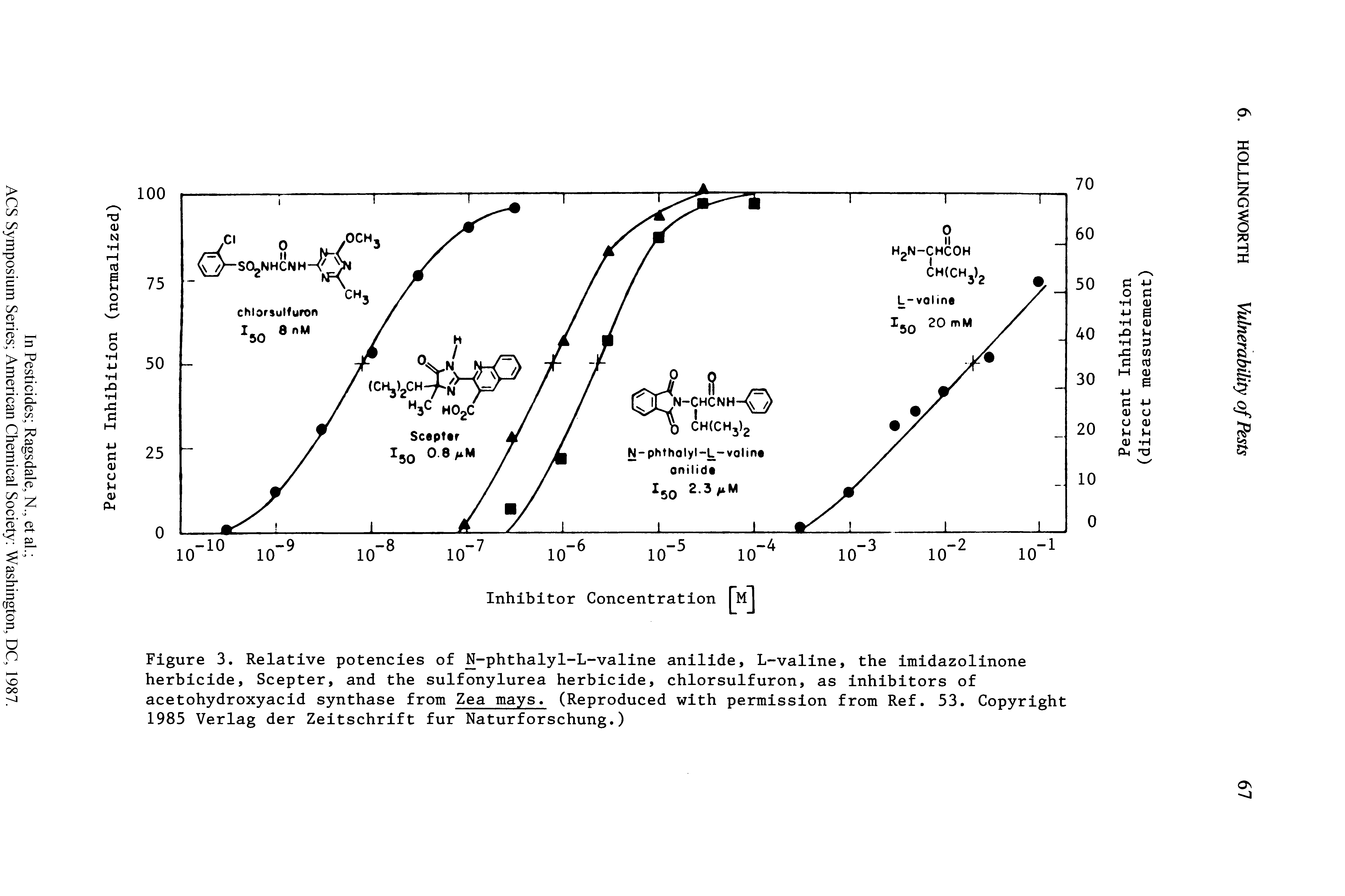 Figure 3. Relative potencies of N-phthalyl-L-valine anilide, L-valine, the imidazolinone herbicide, Scepter, and the sulfonylurea herbicide, chlorsulfuron, as inhibitors of acetohydroxyacid synthase from Zea mays. (Reproduced with permission from Ref. 53. Copyright 1985 Verlag der Zeitschrift fur Naturforschung.)...