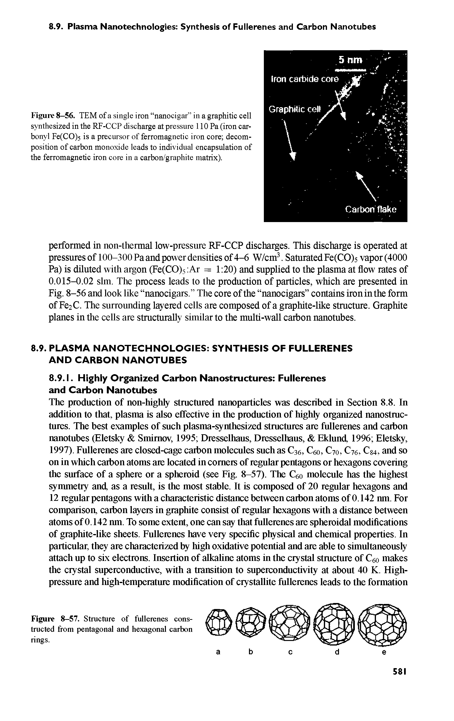 Figure 8-56. TEM of a single iron nanocigar in a graphitic cell synthesized in the RF-CCP discharge at pressure 110 Pa (iron carbonyl Fe(CO)5 is a precursor of ferromagnetic iron core decomposition of carbon monoxide leads to individual encapsulation of the ferromagnetic iron core in a carbon/graphite matrix).