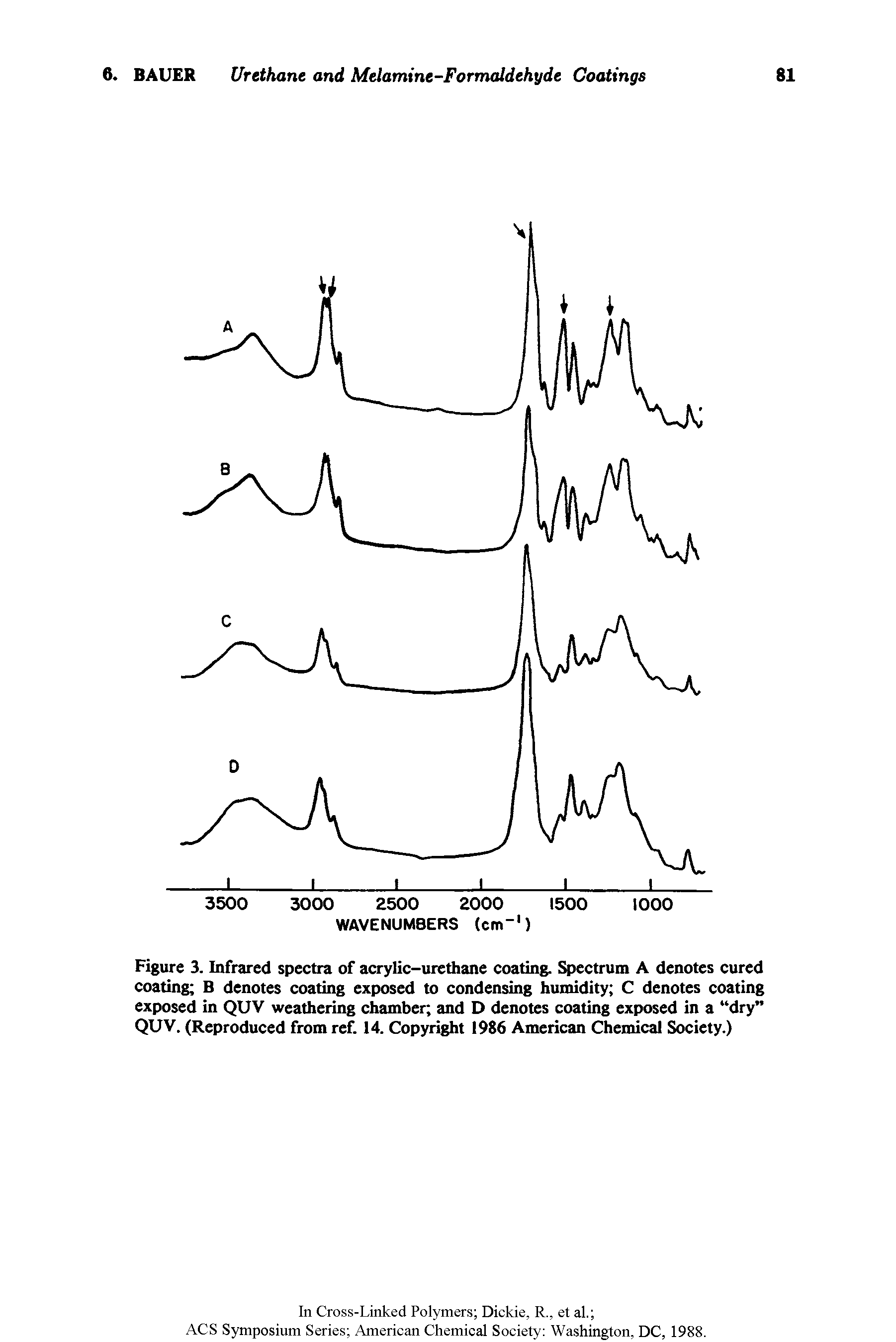 Figure 3. Infrared spectra of acrylic-urethane coating. Spectrum A denotes cured coating B denotes coating exposed to condensing humidity C denotes coating exposed in QUV weathering chamber and D denotes coating exposed in a dry QUV. (Reproduced from ref. 14. Copyright 1986 American Chemical Society.)...