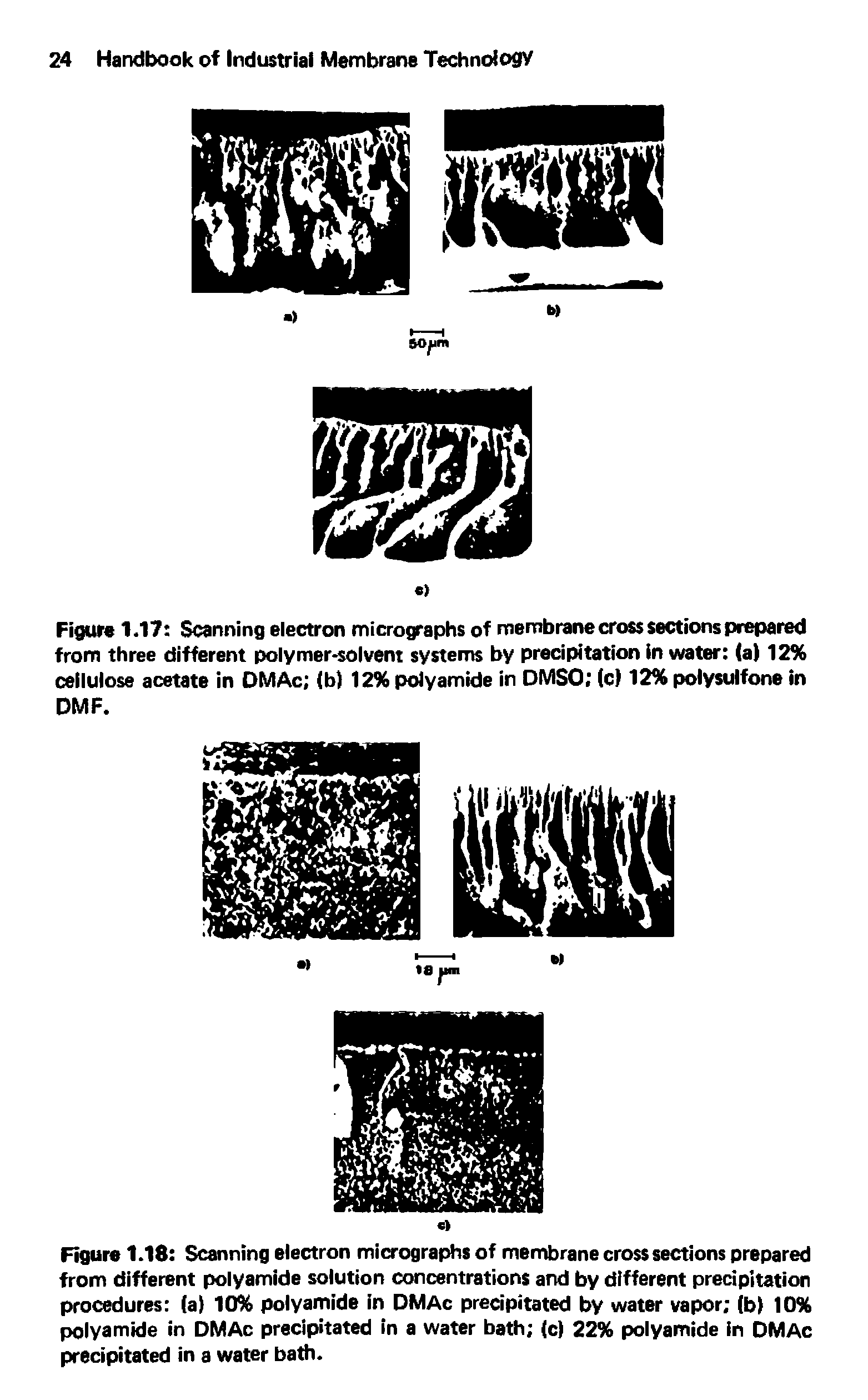 Figure 1.17 Scanning electron micrographs of membrane cross sections prepared from three different polymer-solvent systems by precipitation in water (a) 12% cellulose acetate in DMAc (b) 12% polyamide in DMSO (c) 12% polysulfone In DMF.