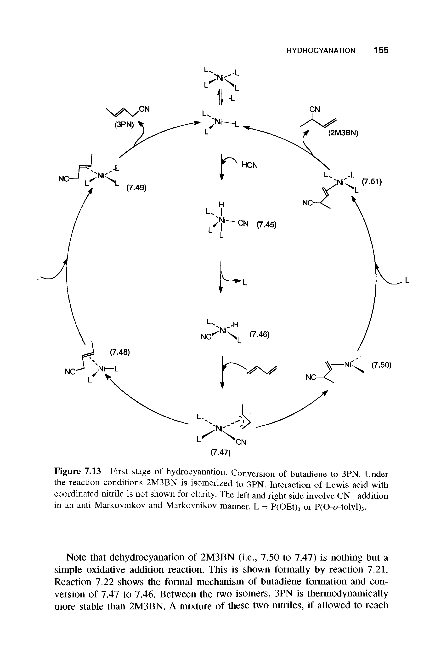 Figure 7.13 First stage of hydrocyanation. Conversion of butadiene to 3PN. Under the reaction conditions 2M3BN is isomerized to 3PN. Interaction of Lewis acid with coordinated nitrile is not shown for clarity. The left and right side involve CN addition in an anti-Markovnikov and Markovnikov manner. L = P(OEt)3 or P(0-o-tolyl)3.